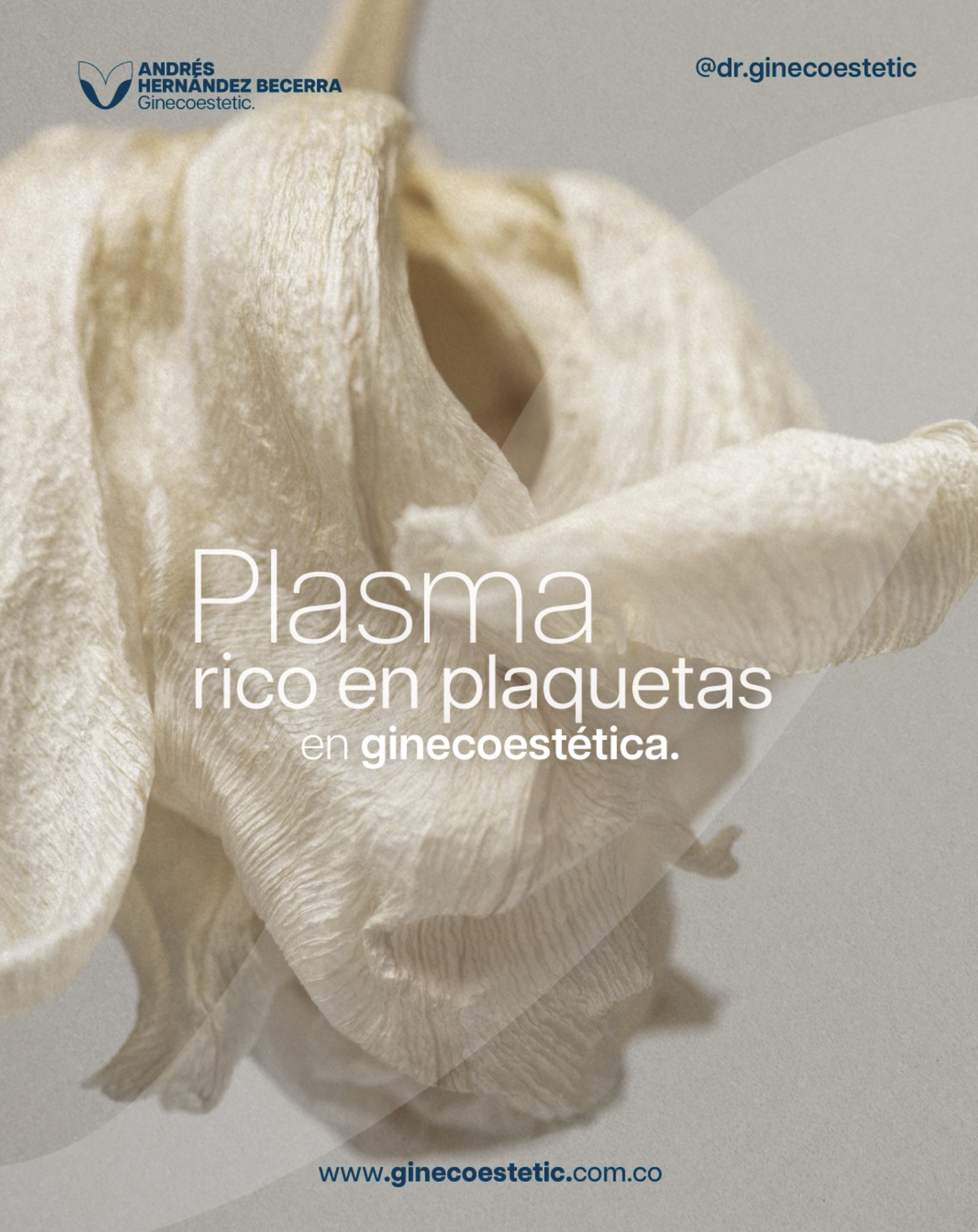 ¡Que la Menopausia No Te Agarre Desprevenida! Guía Completa para Vivirla con Plenitud
