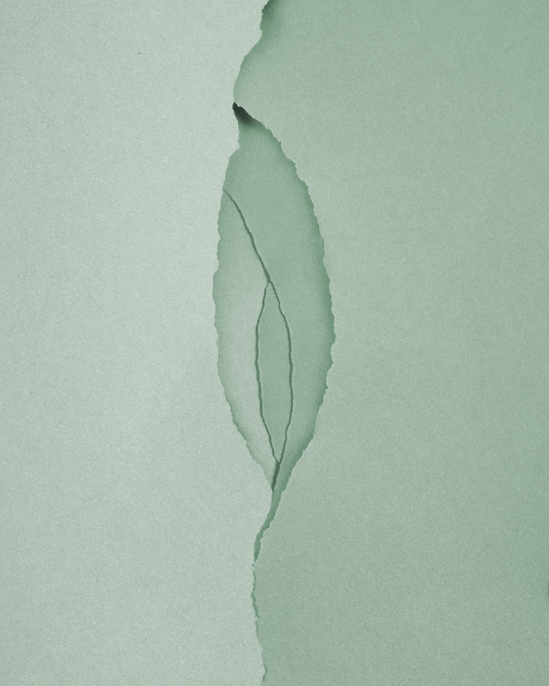 Papel rasgado en tonos verdes que forma una hoja en el centro.