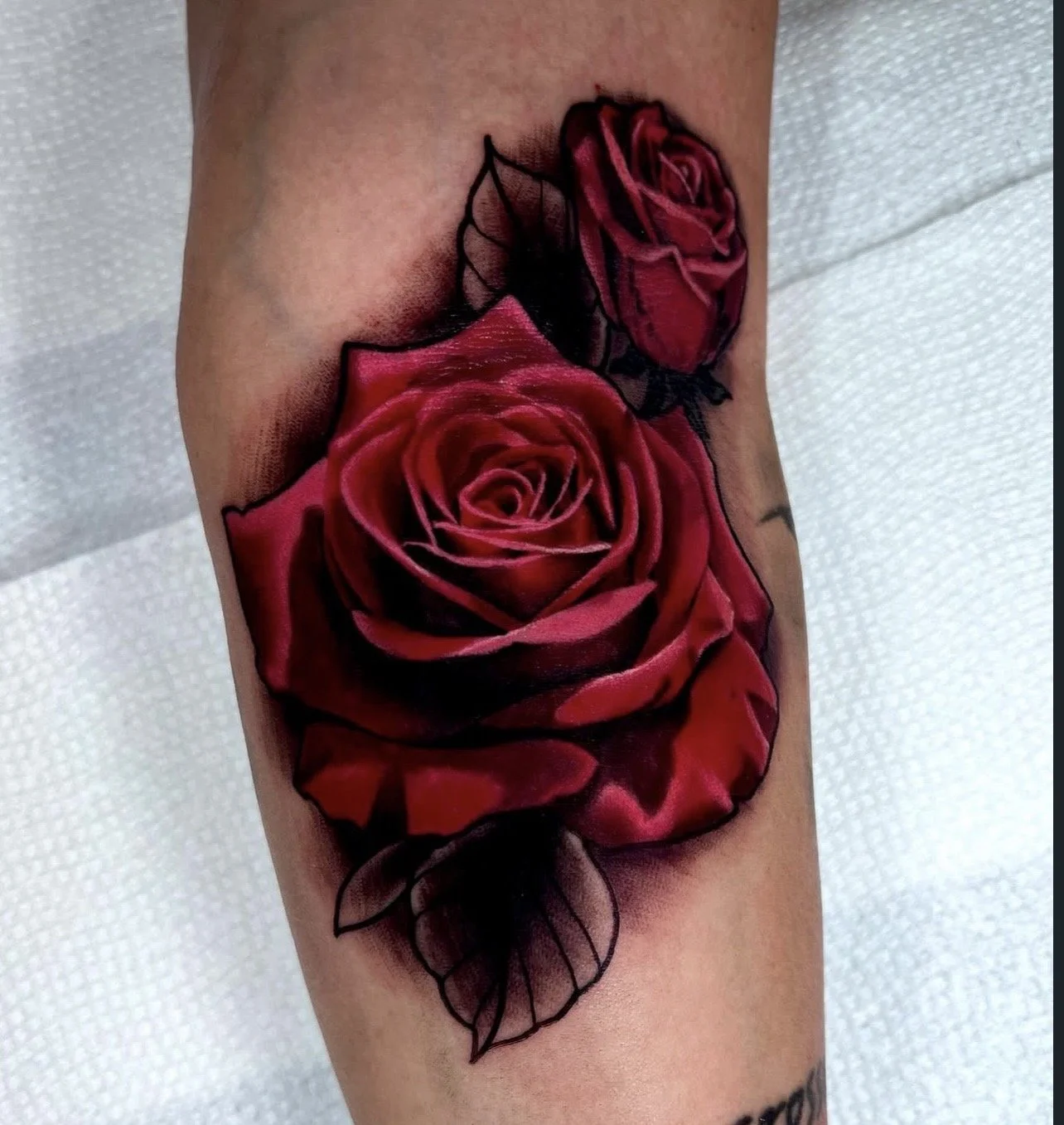 Colorful tattoo of two red roses with black leaves on a person's arm.
