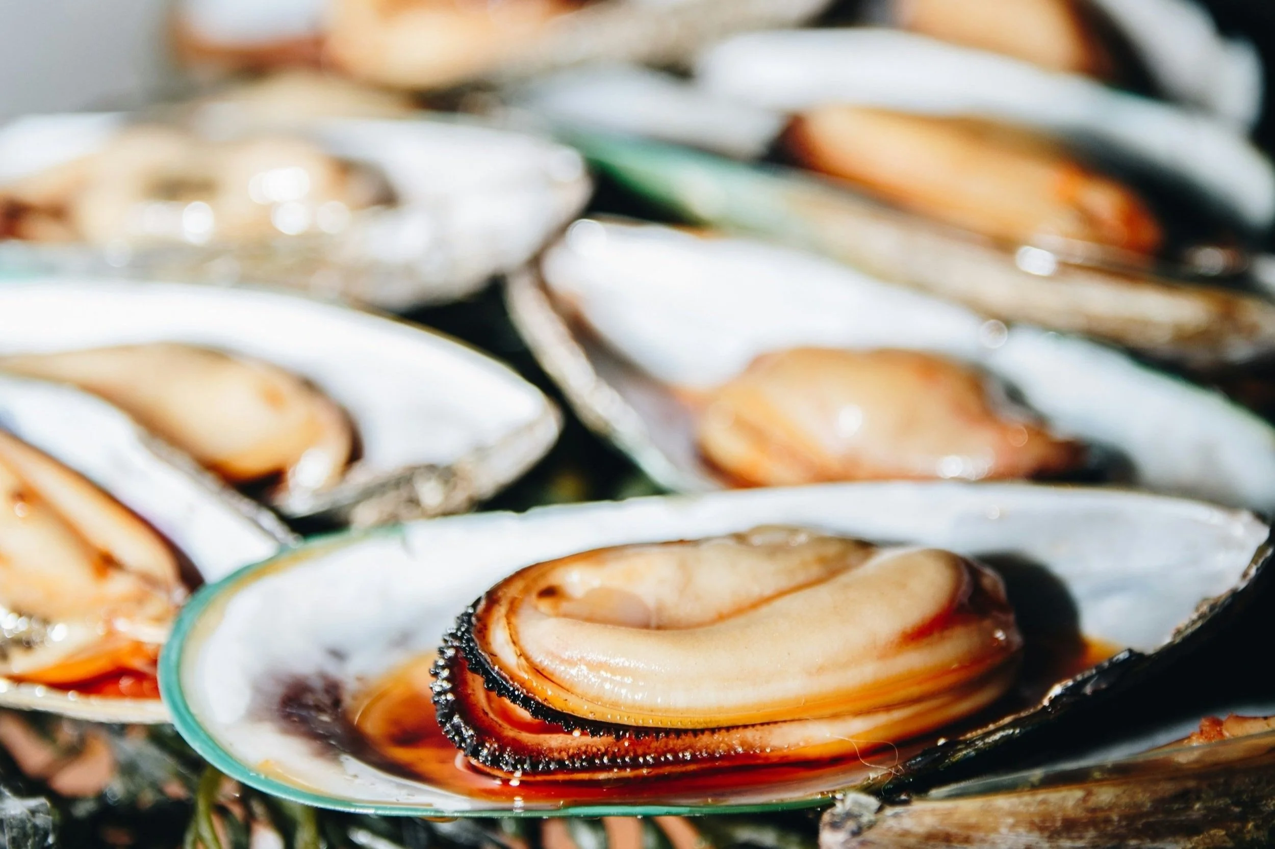 Several opened oyster shells with fresh oysters inside, some with reddish-brown liquid, on a surface.