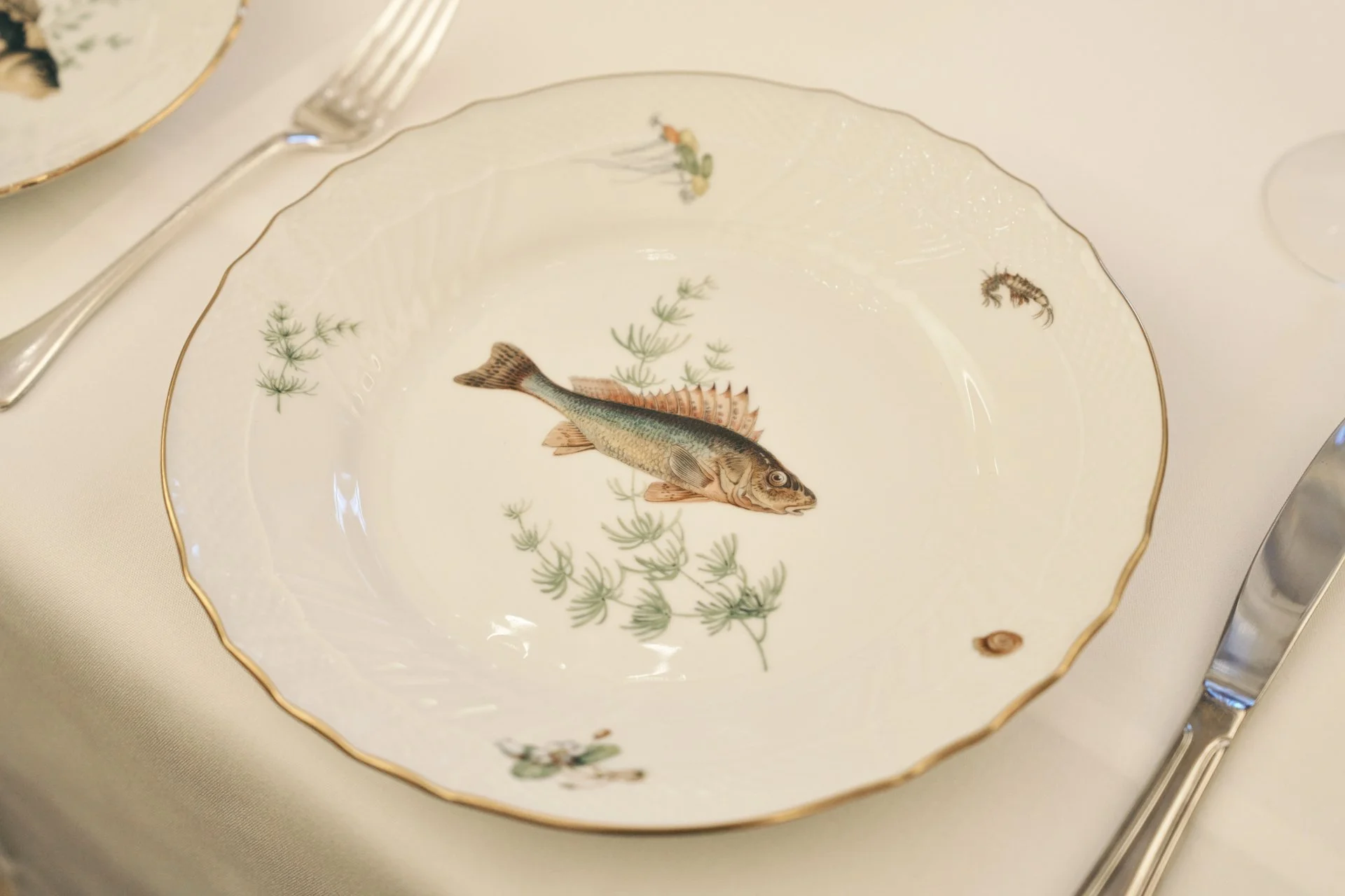Decorative porcelain plate with a detailed fish illustration and botanical elements, gold trim around the edge, on a dining table setting.