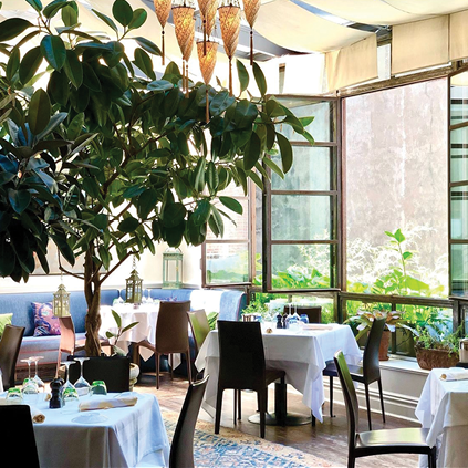 Interior of a restaurant with large windows, white tablecloth-covered tables, chairs, and a large plant.