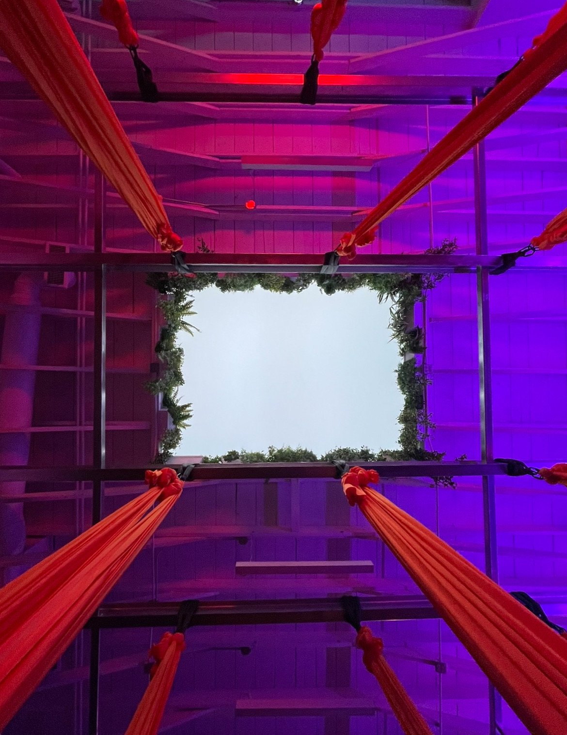 Looking up through a square window in the ceiling, with purple and pink lighting, orange fabric suspensions, and greenery around the frame.