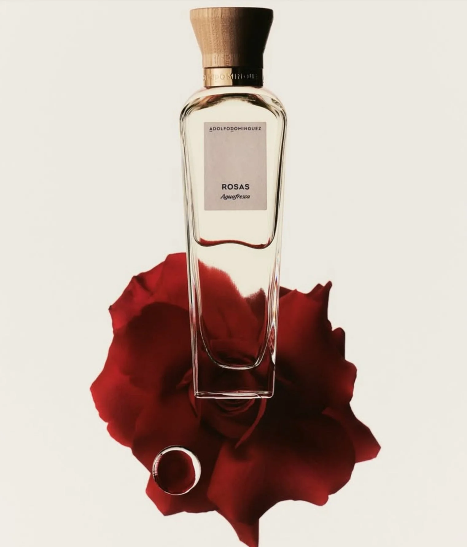 ADOLFO DOMINGUEZ 2025