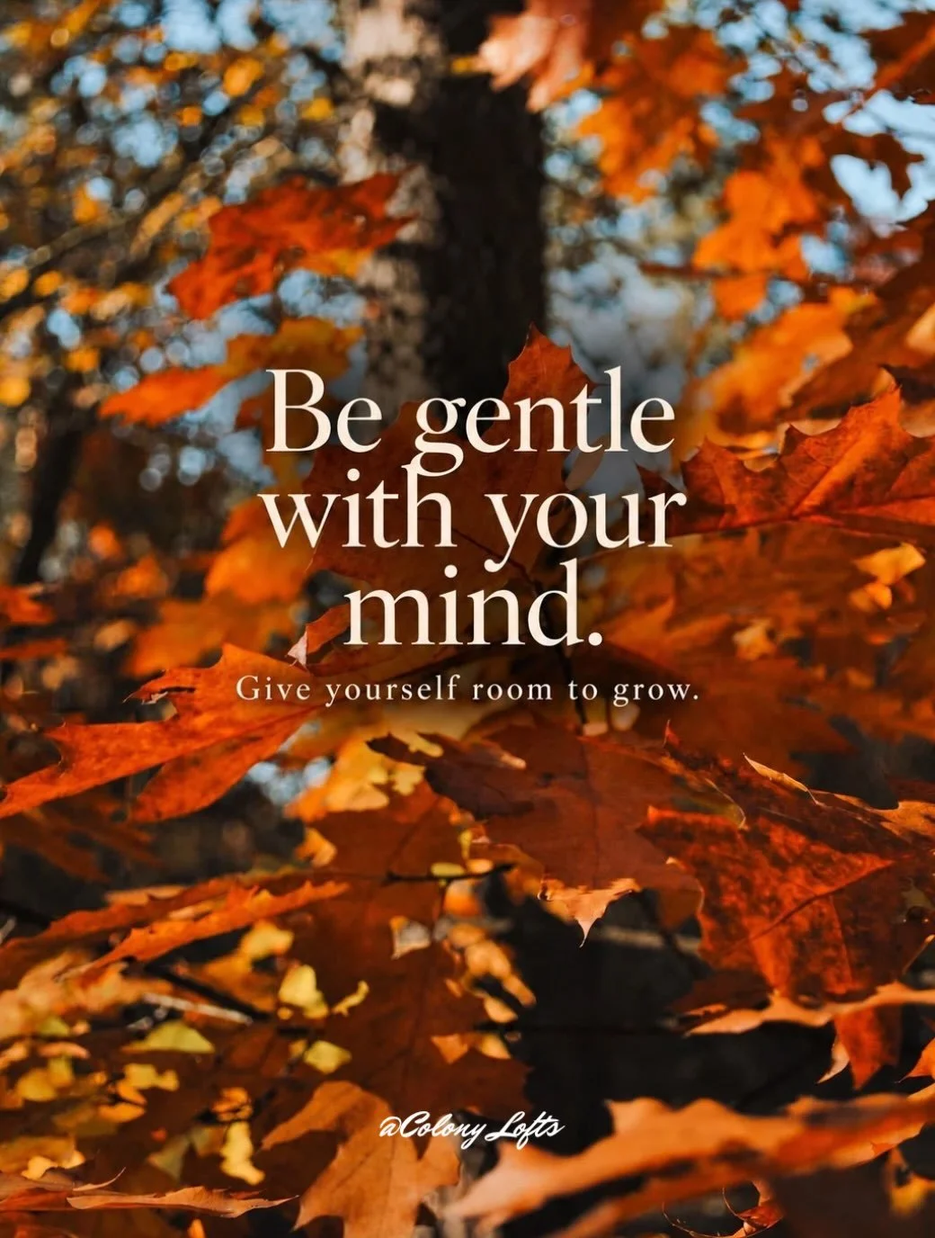 #mentalhealth #fypage #toledo