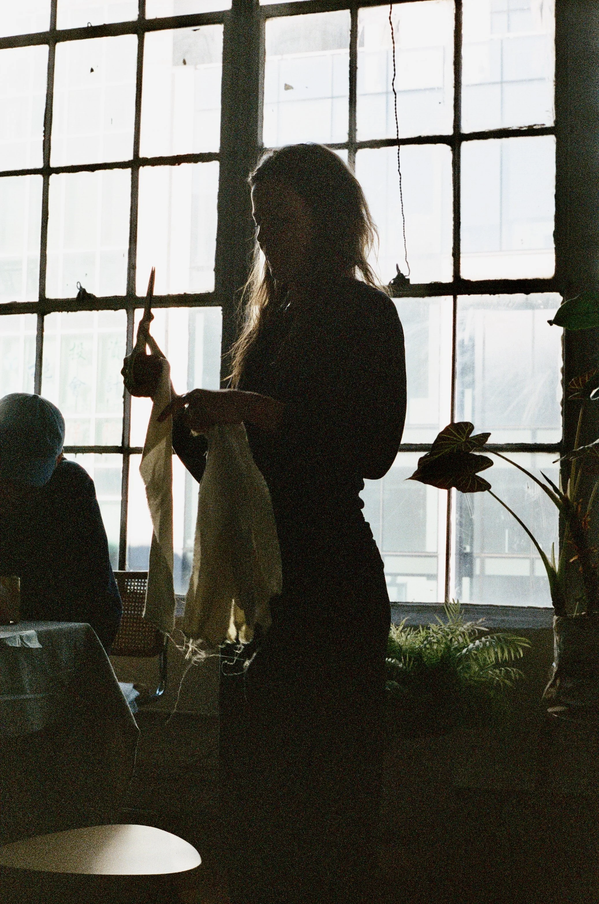 Silhouette of a woman holding a piece of clothing or fabric, standing near a large window with grid panes, with a potted plant nearby.