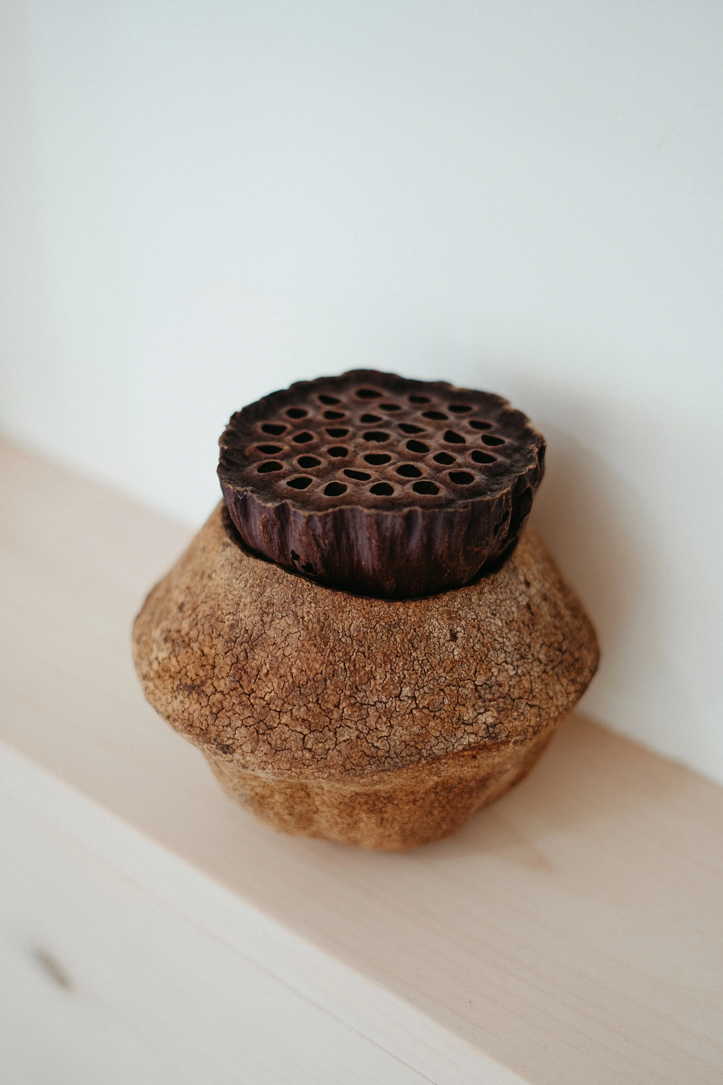 Close-up of a dried, cracked seed pod or fruit resting on a light-colored wooden surface against a plain white background.