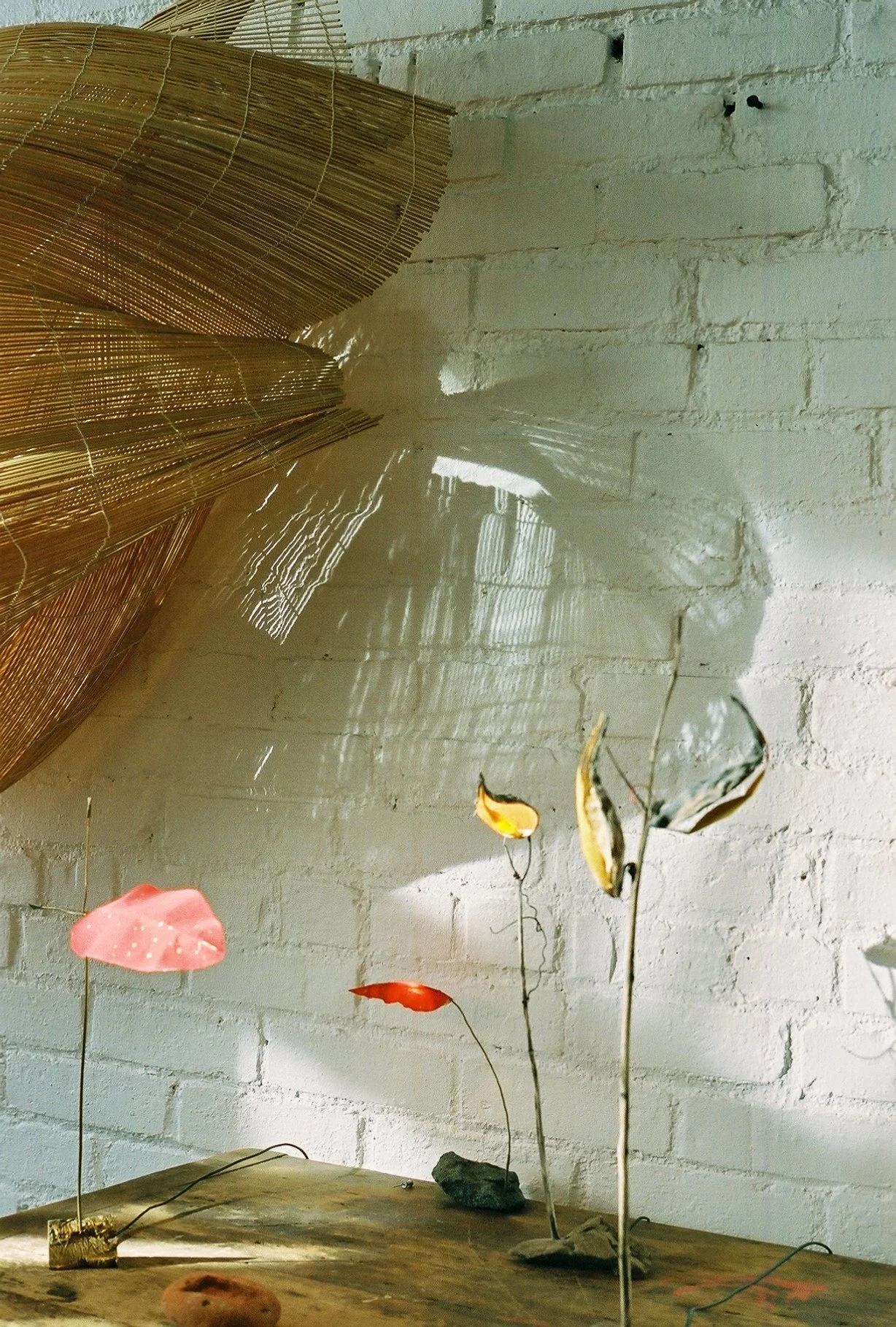 Artistic installation featuring delicate, colorful, leaf-like structures on thin metal wires connected to small rocks, bathed in sunlight reflecting off a woven bamboo piece and casting shadows on a white brick wall.