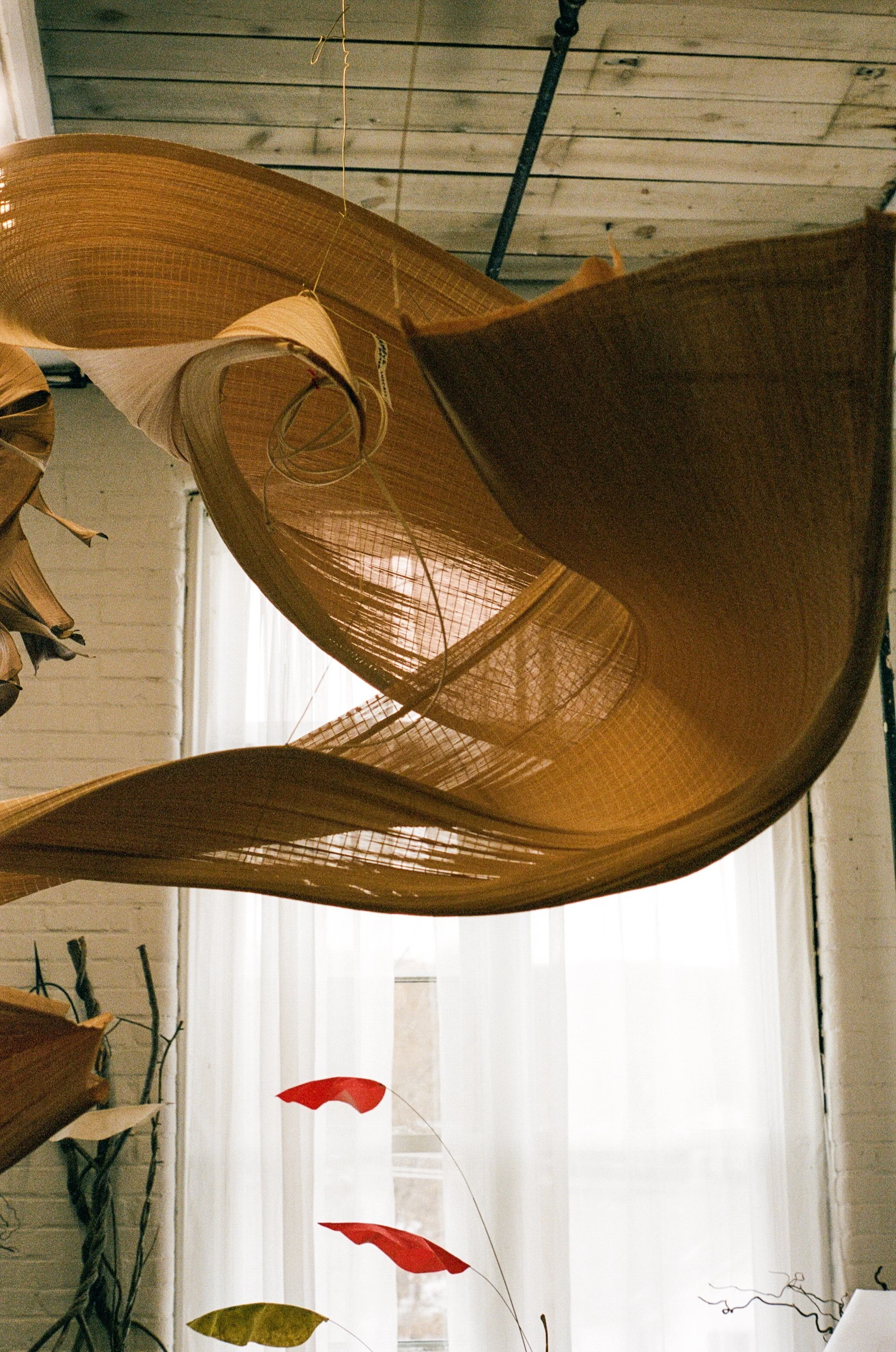 A close-up view of an abstract hanging sculpture made of thin, curved, wooden or bamboo panels suspended from a ceiling with metal wires, with sheer white curtains and a window in the background.