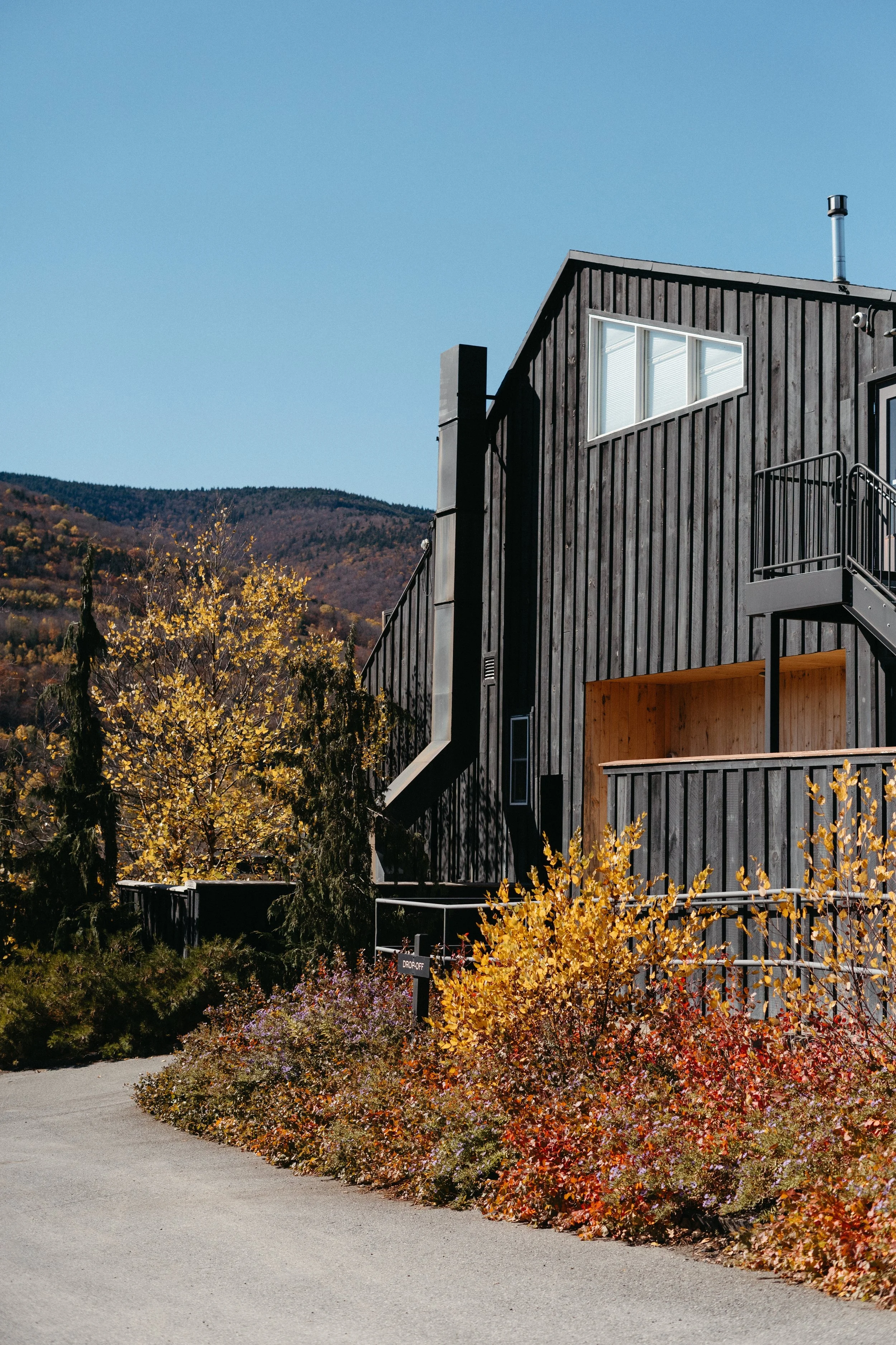 Modern black wooden house with a balcony and large windows, surrounded by fall-colored bushes and trees with a mountain in the background under a clear blue sky.