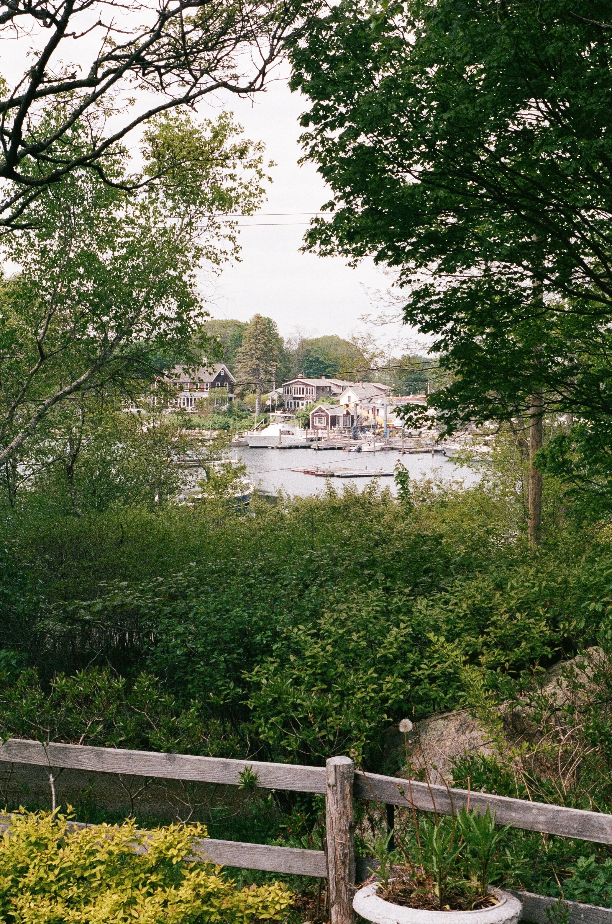 A view of a harbor with boats docked, surrounded by green trees, and houses in the background.