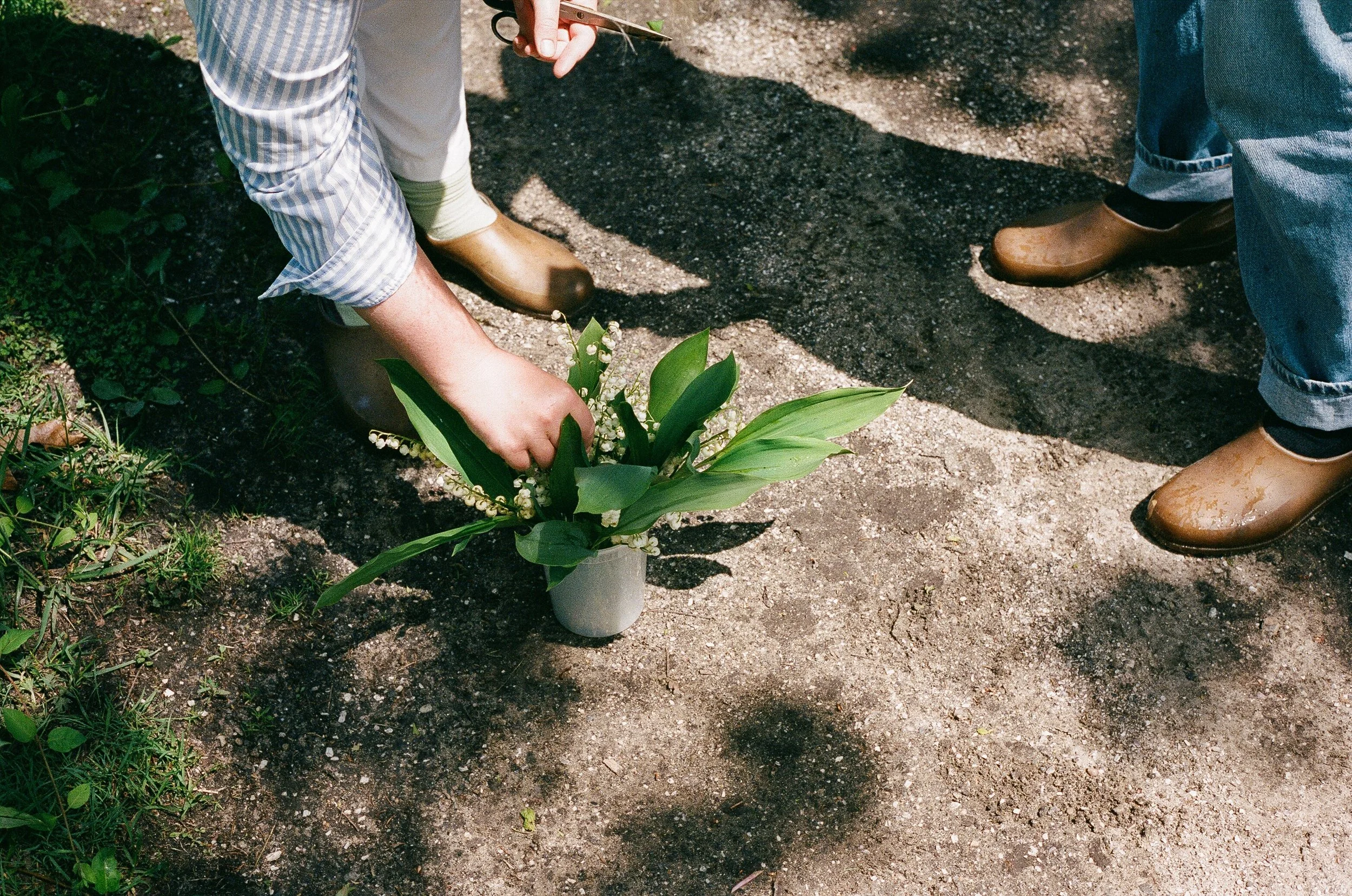 Person planting a small flower arrangement in a gray vase on the dirt ground, with two other people standing nearby.