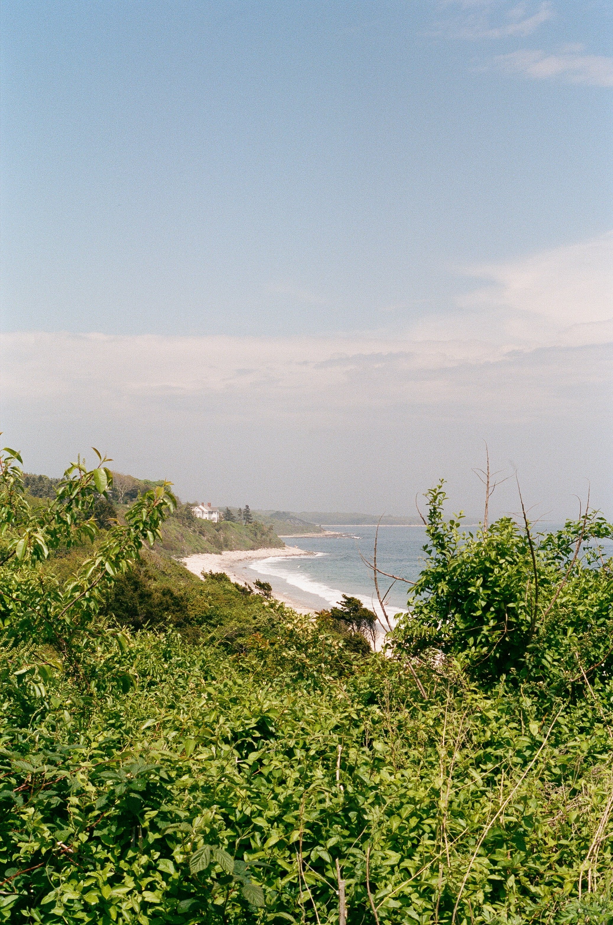 Coastal view with green foliage in the foreground, sandy beach and ocean waves in the background, and houses on a hill along the coast under a partly cloudy sky.