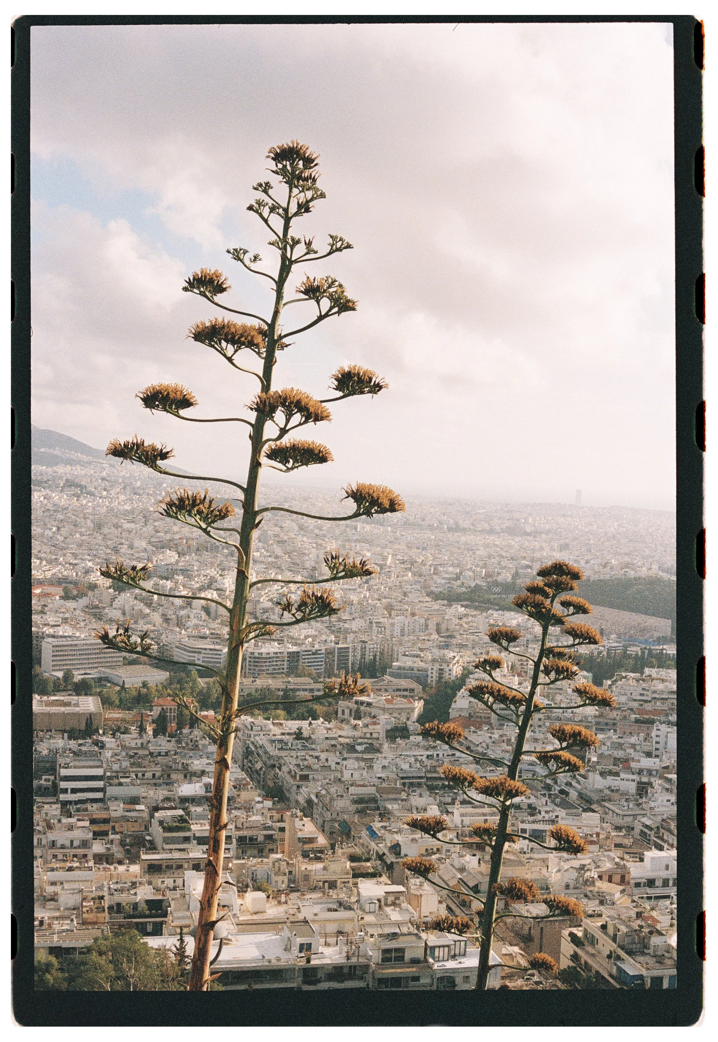 Greece_2025_0264.jpg