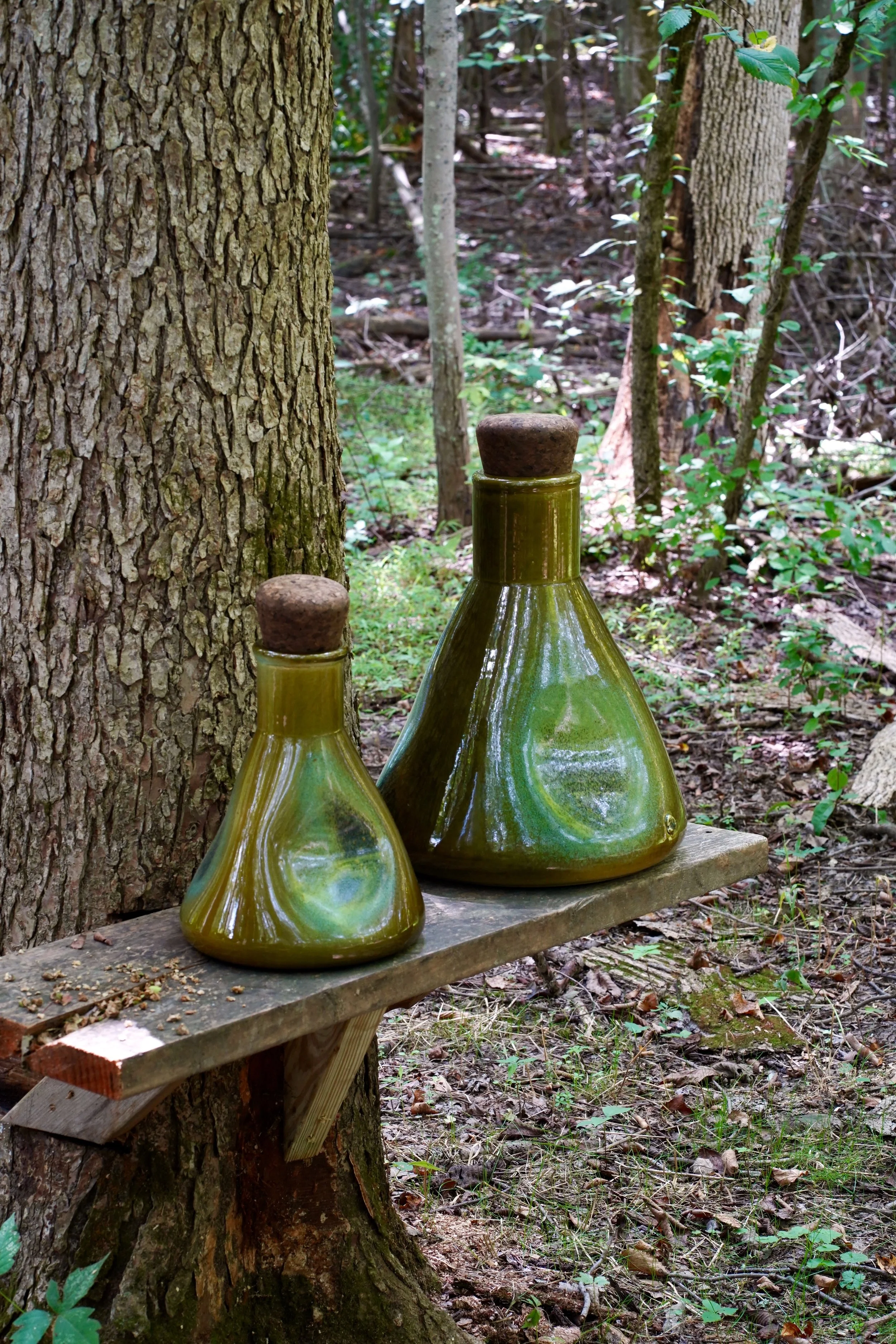 Two green glass bottles with cork stoppers are placed on a wooden shelf attached to a tree in a forest.