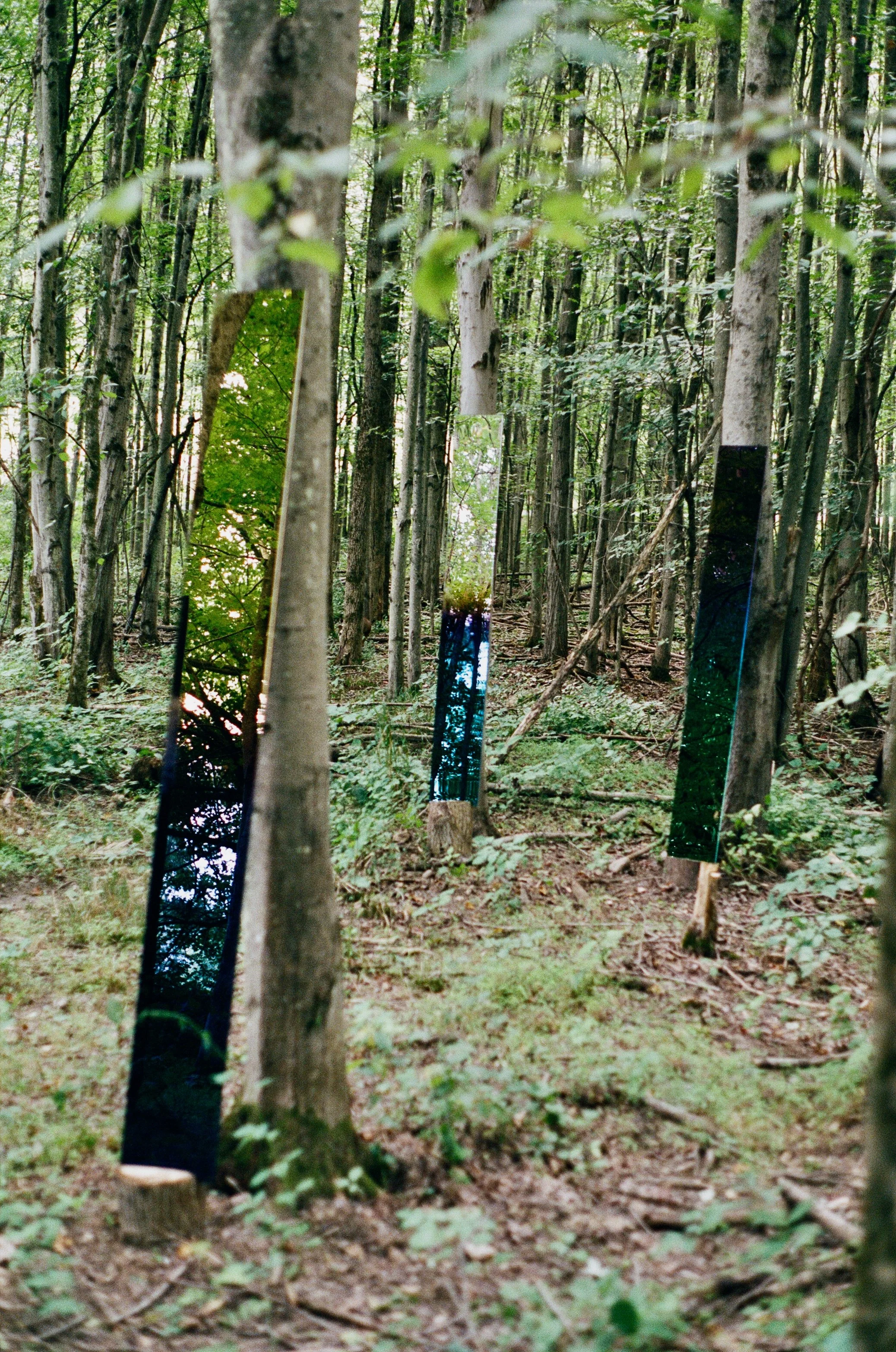 Mirrored pieces of glass reflecting forest scenery in a lush wooded area.