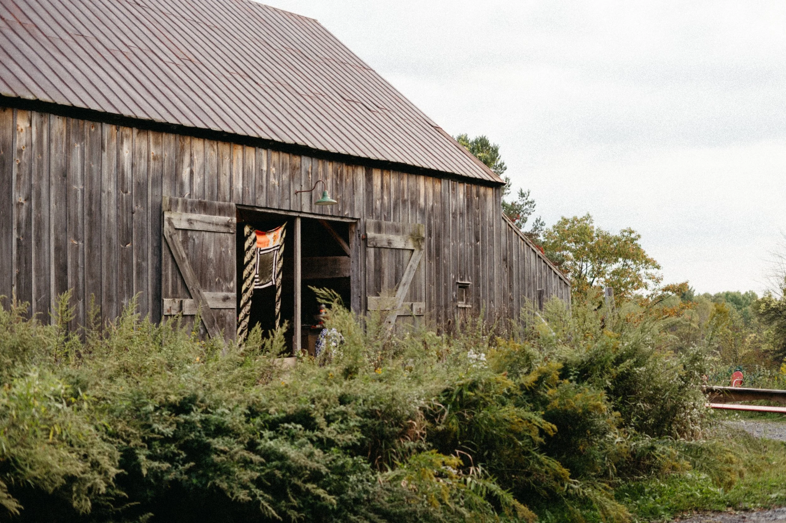 A weathered, old wooden barn with sliding doors, surrounded by overgrown garden plants and bushes, and a railway track visible to the right, under an overcast sky.