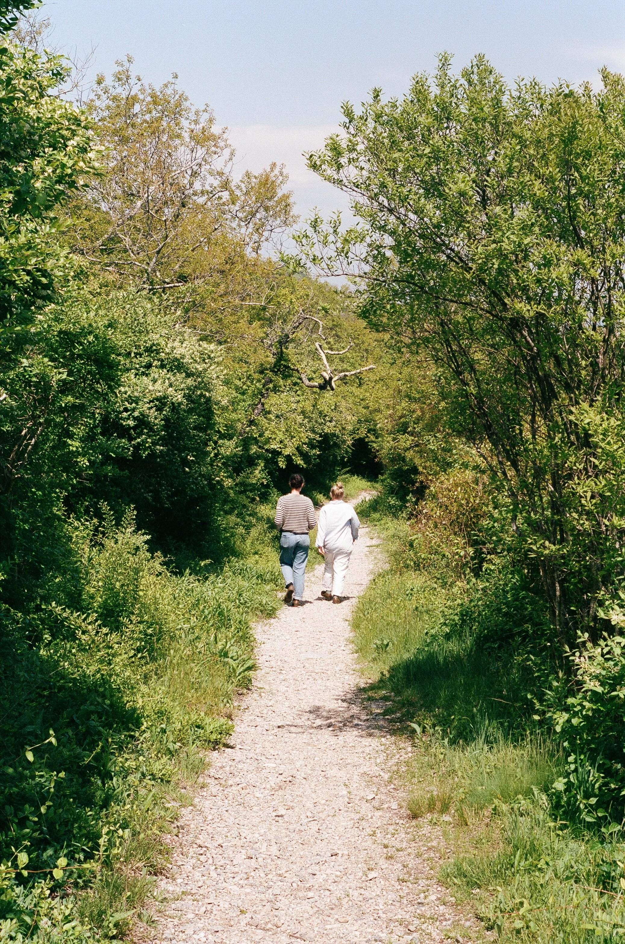 Two people walking on a dirt trail through a lush green forest on a sunny day.