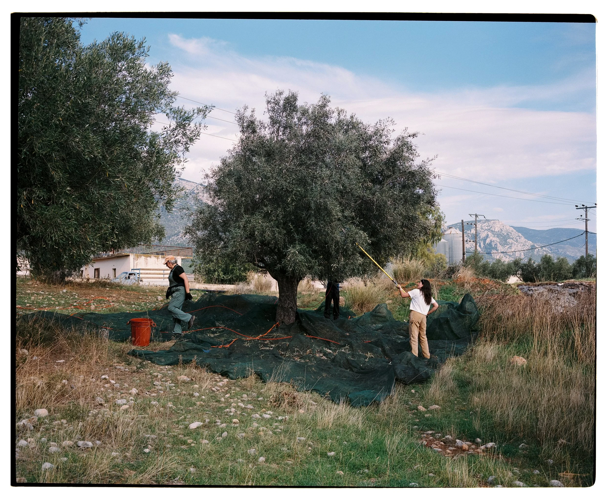 Greece_2025_0521.jpg
