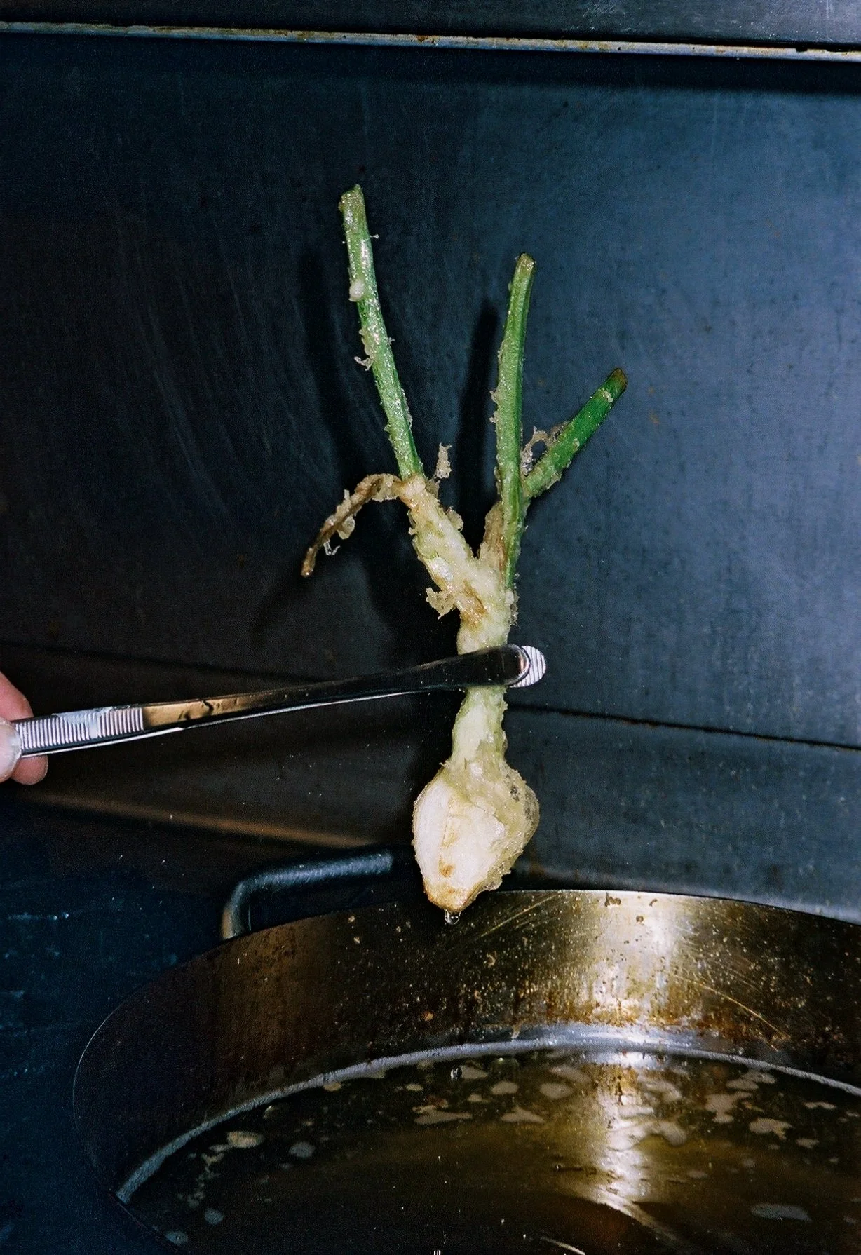 A person holding a tool, examining a battered and fried spring onion with green sprouting shoots, on a black surface with a pan below.