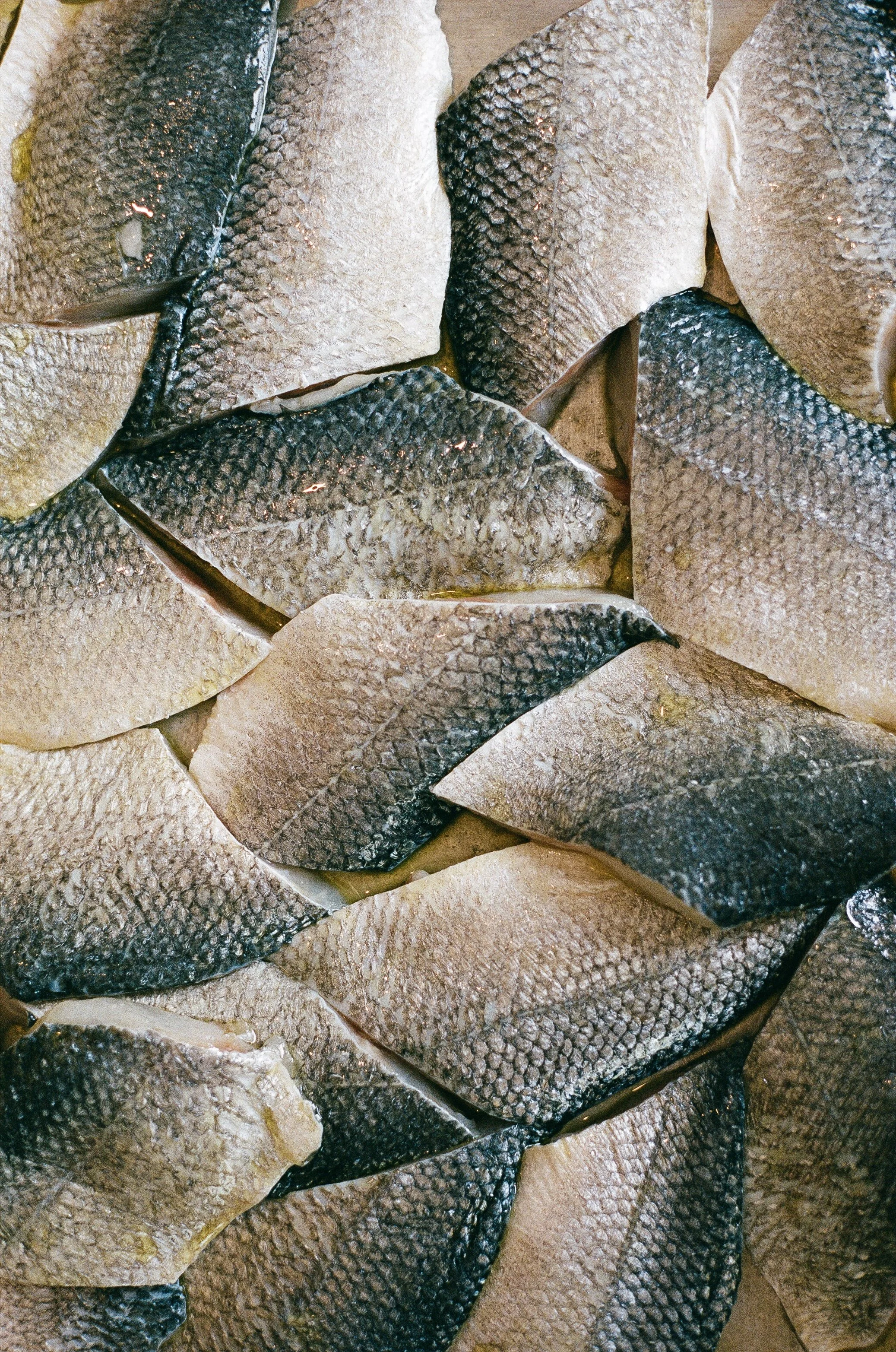 Close-up of multiple fresh fish with shiny, scaly skin arranged on a surface.