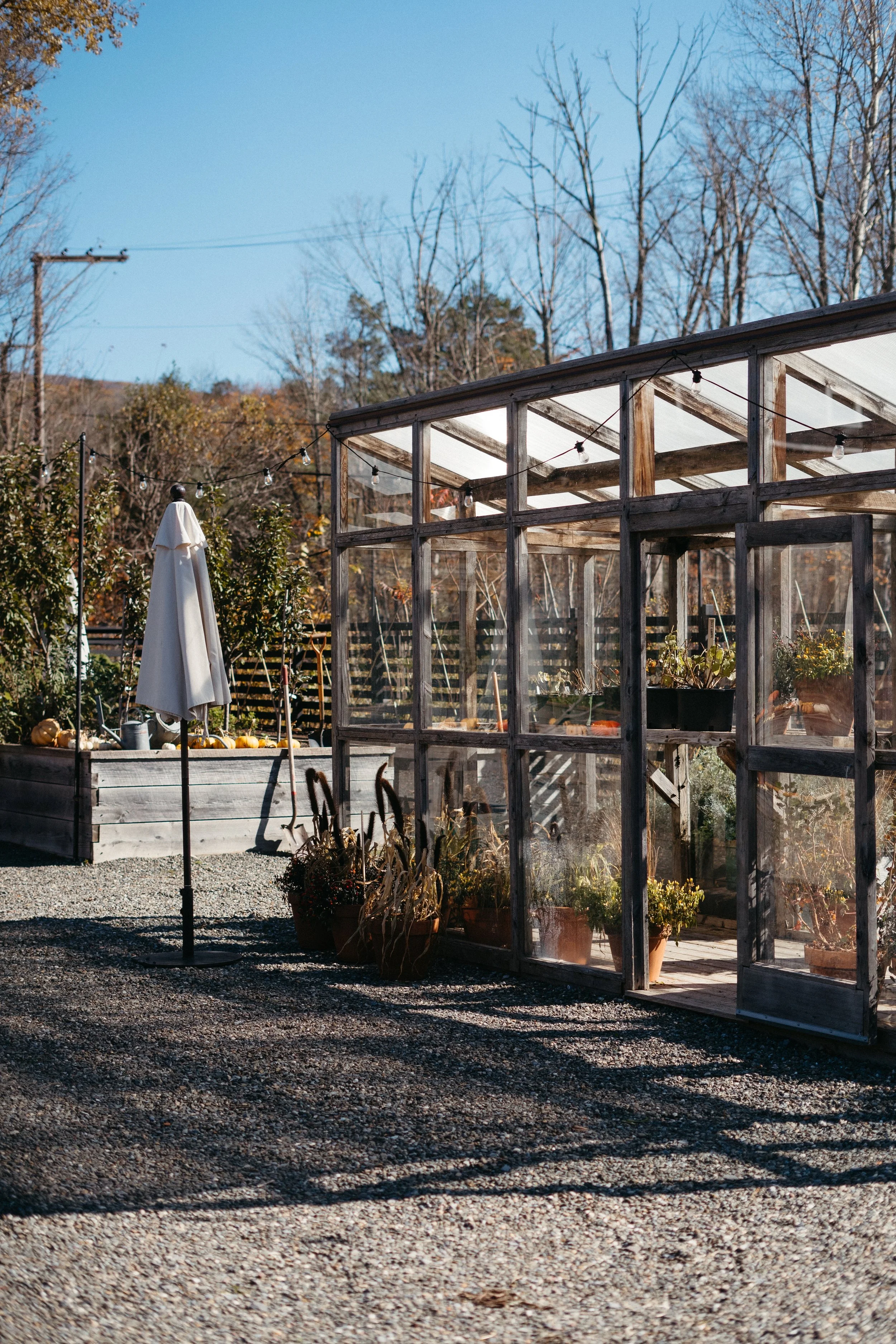 A small outdoor garden with a wooden greenhouse, potted plants, a closed patio umbrella, and trees in the background under a clear blue sky.