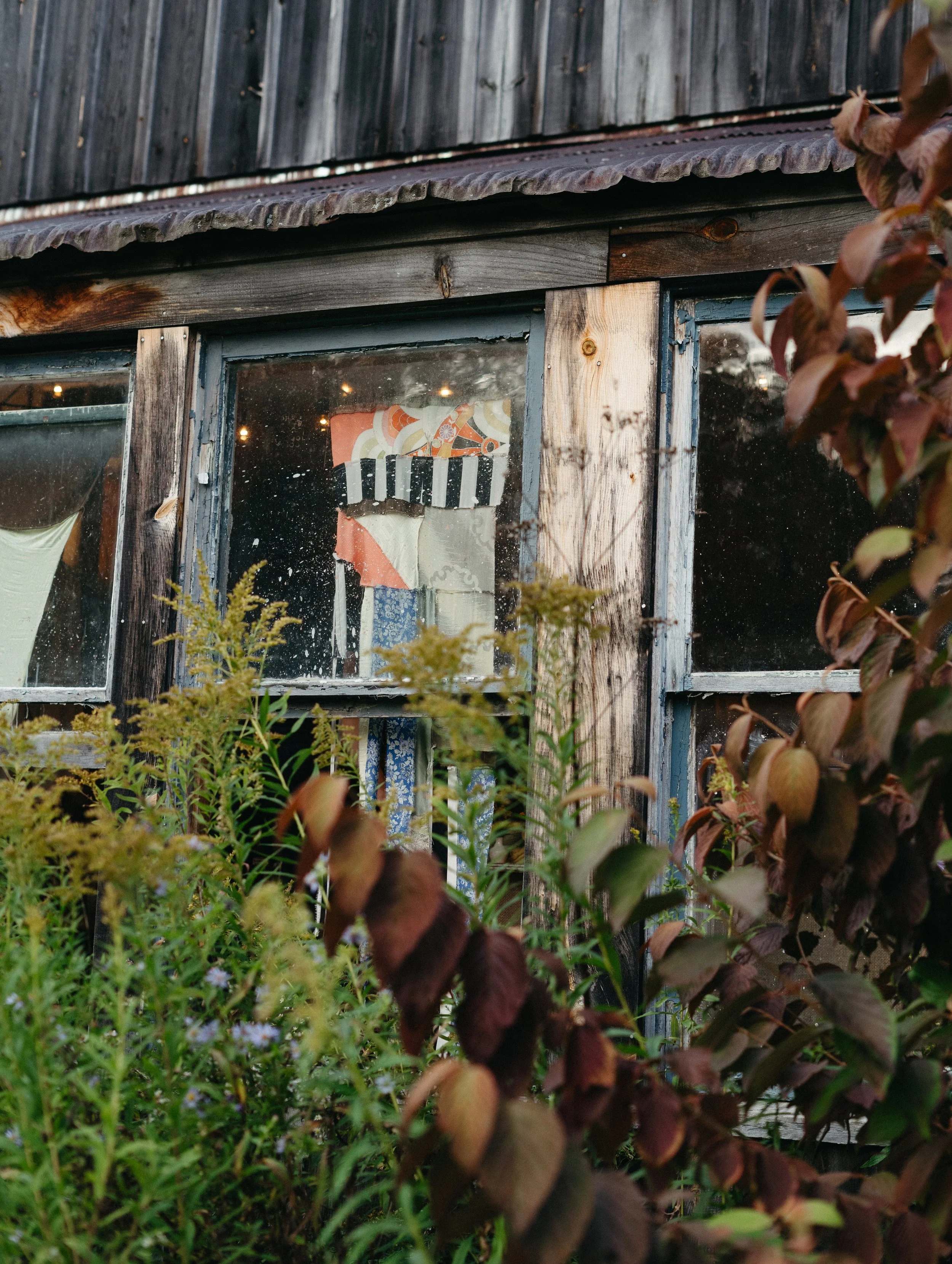Old wooden house with weathered windowpanes, surrounded by overgrown plants and foliage.