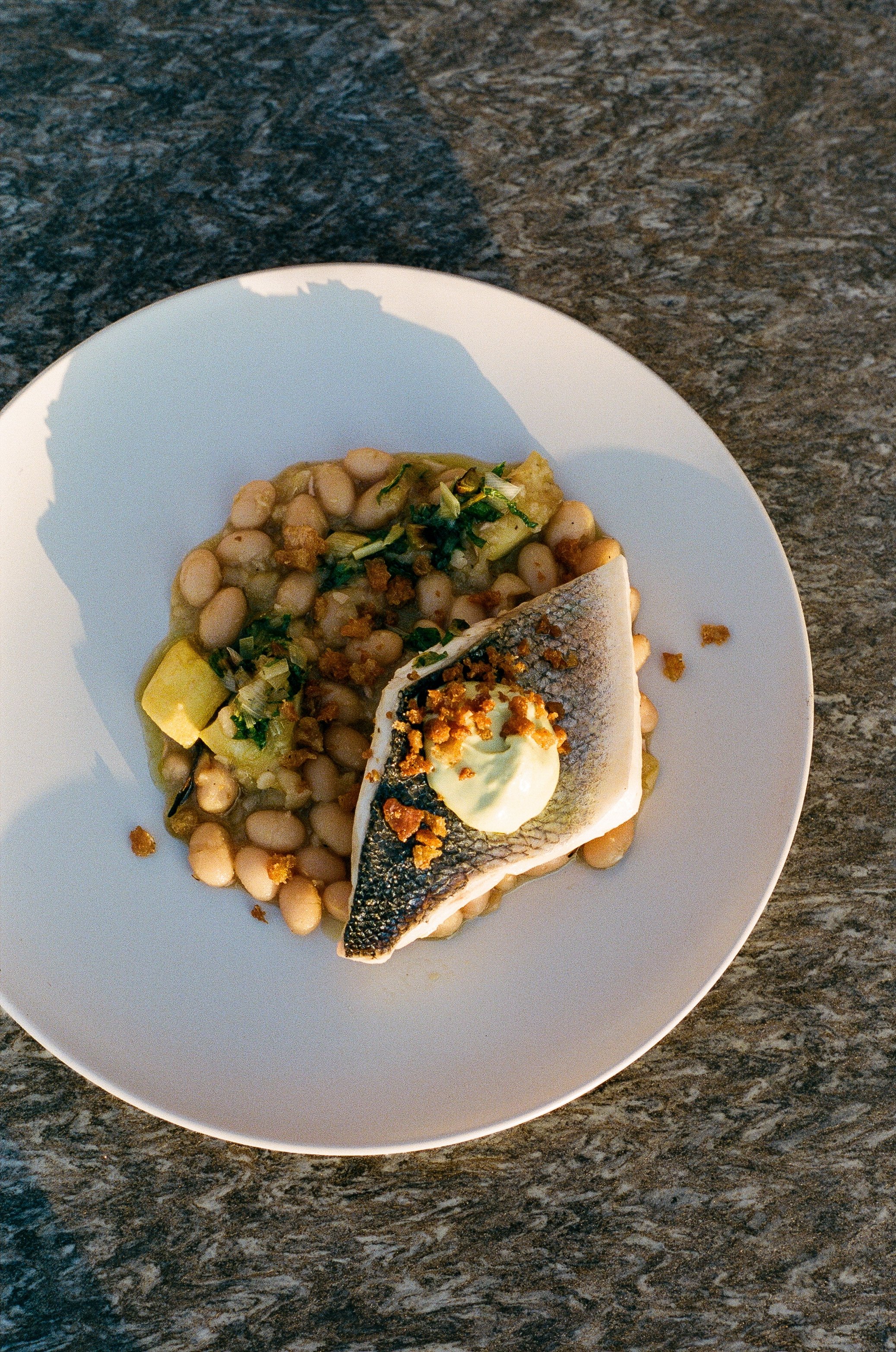 A plate with a cooked fish fillet topped with a dollop of sauce and breadcrumbs, served alongside a bed of white beans with herbs and vegetables, on a granite table.