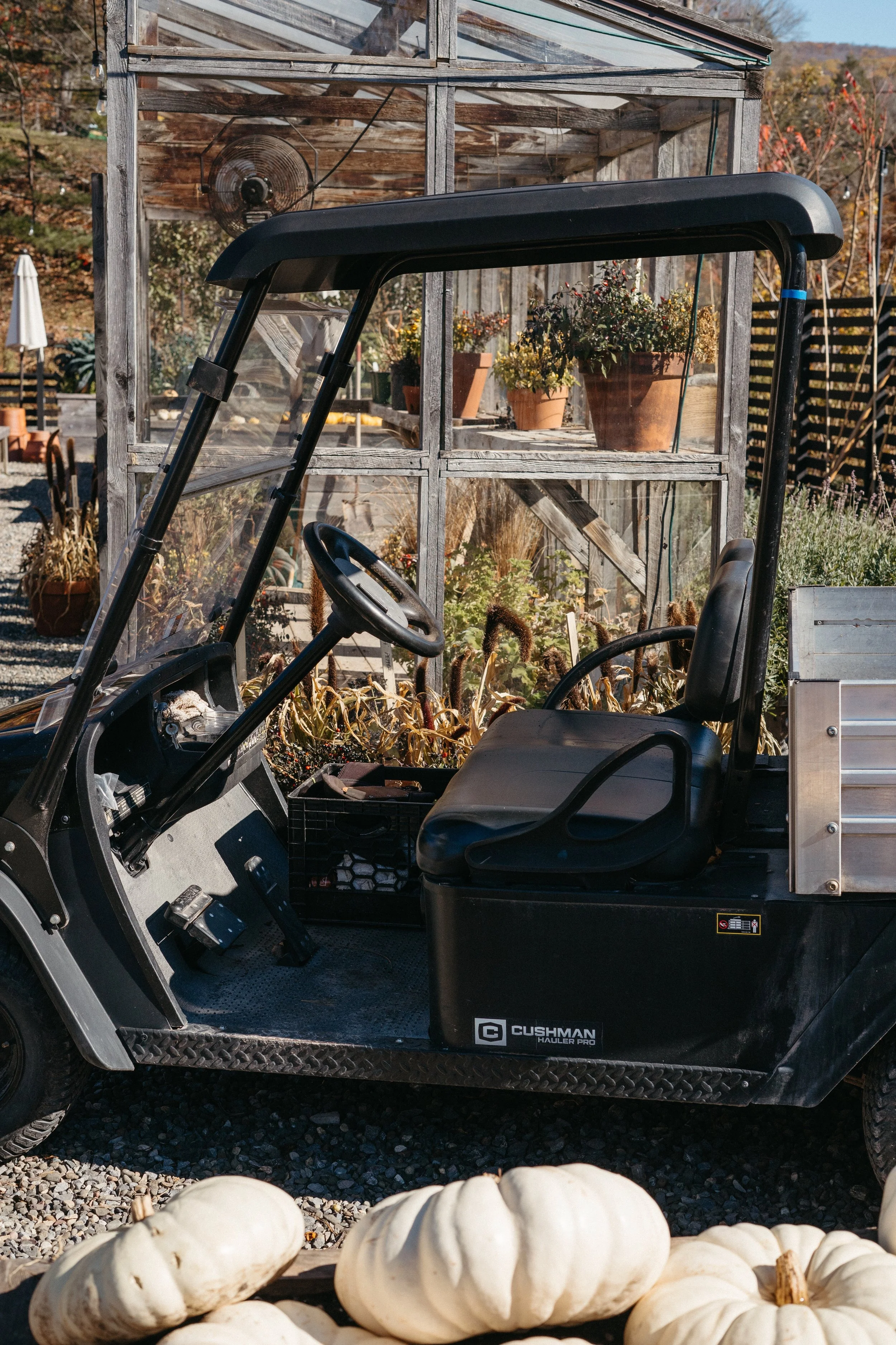 A black Cushman Hauler Pro golf cart parked outdoors in front of a greenhouse with potted plants. Several white pumpkins are in the foreground on a gravel surface.