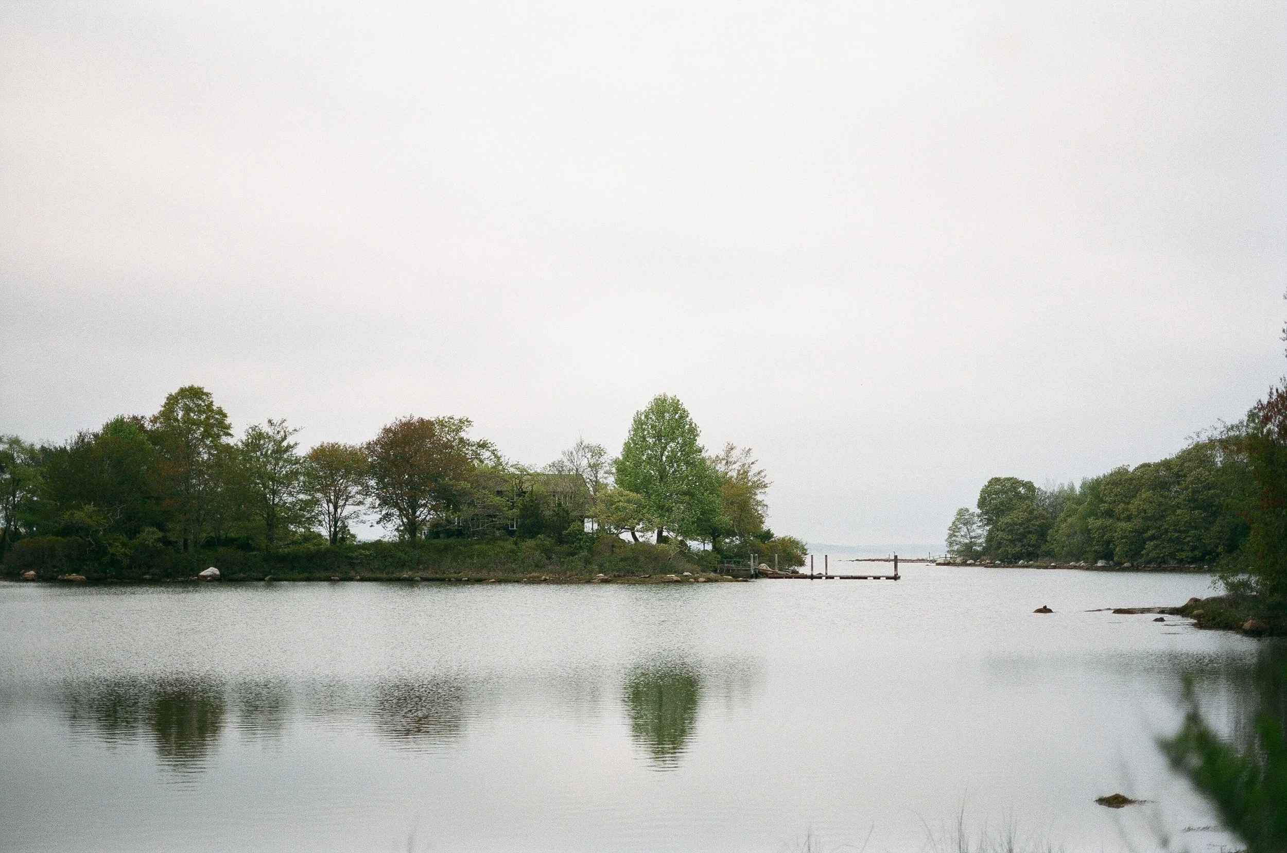 A calm body of water reflecting trees and a cloudy sky, with a small dock extending into the water on the right side.