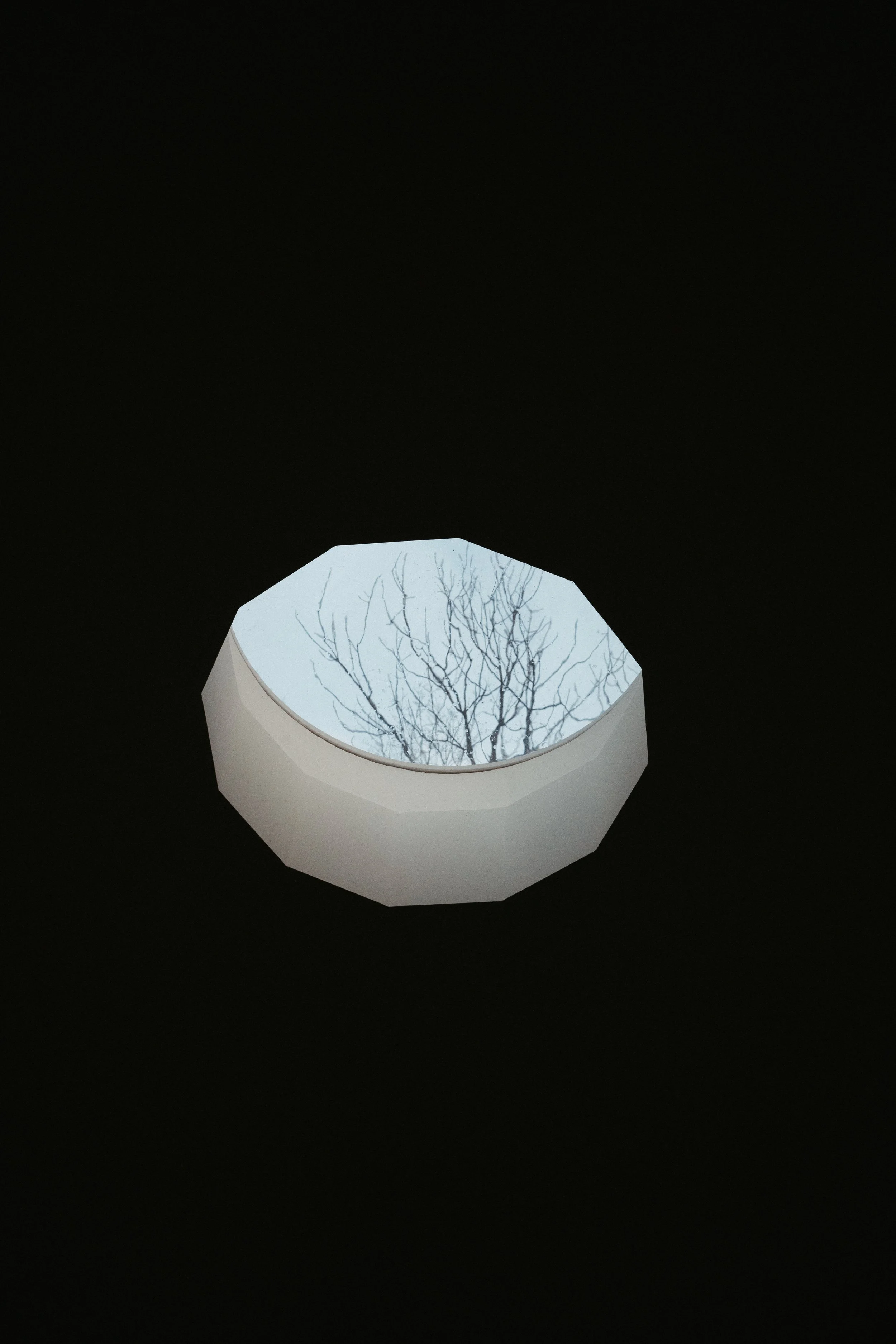 A circular ceiling light fixture with an image of tree branches reflected on its surface, set against a dark ceiling.