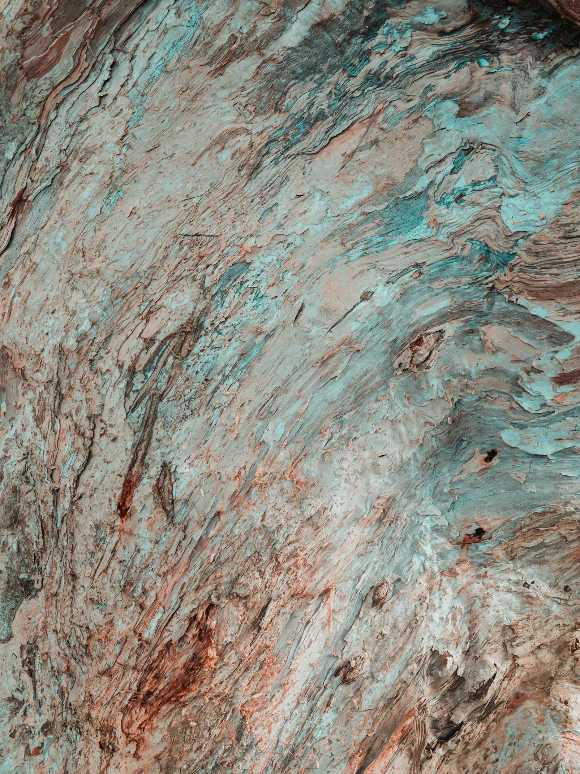 unsplash-image-MD6HeNtFaFw.jpg