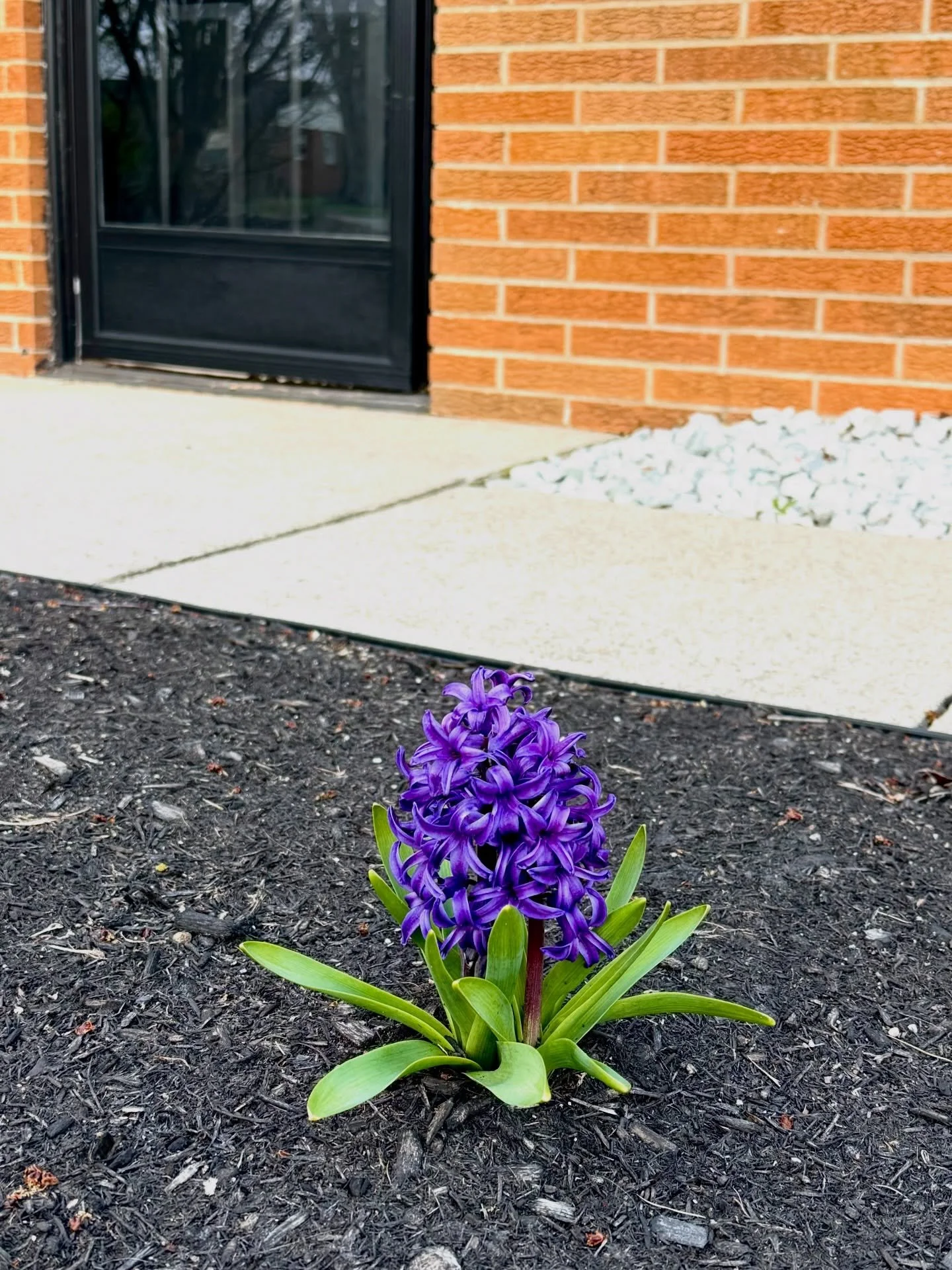 Spring always feels like a fresh start!🪻🌷🌻 New blooms, longer days, and a reminder that change can be a really good thing.

And timing-wise&hellip; this year actually lines up pretty well.
April 12th-18th is projected to be one of the strongest we