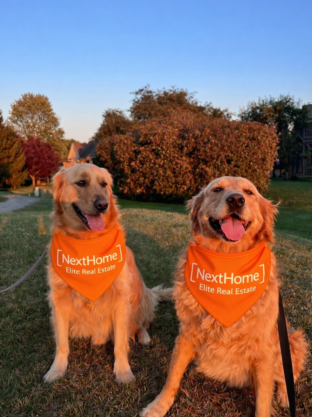 Home isn&rsquo;t just a place&hellip; it&rsquo;s who&rsquo;s waiting for you at the end of the day. 🧡🐾💙

Beau, Oakley, and Pepper are the reason home is my favorite place to be. 🥰🏡 Happy National Pet Day from the crew!