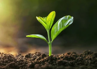 Growth Coaching Package