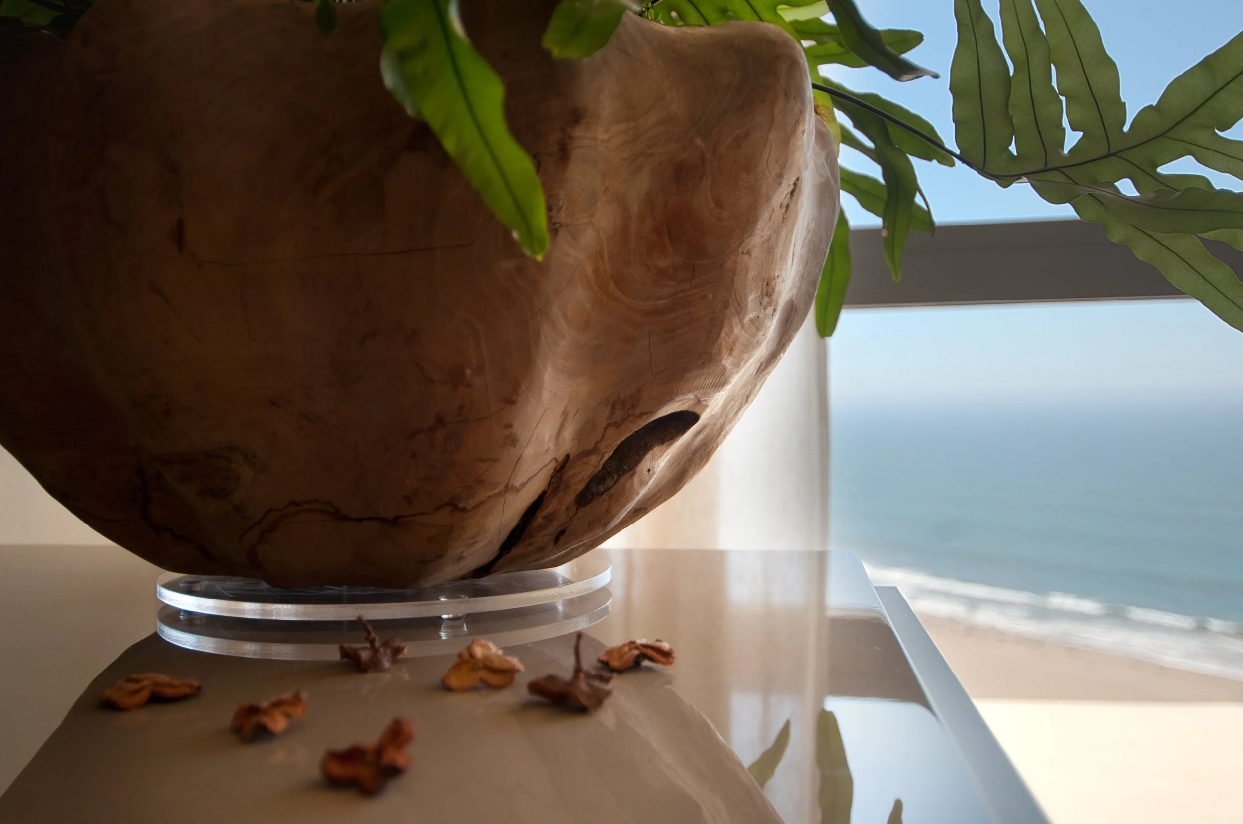 sarah-barnard-design-ocean-avenue-penthouse-23.jpg
