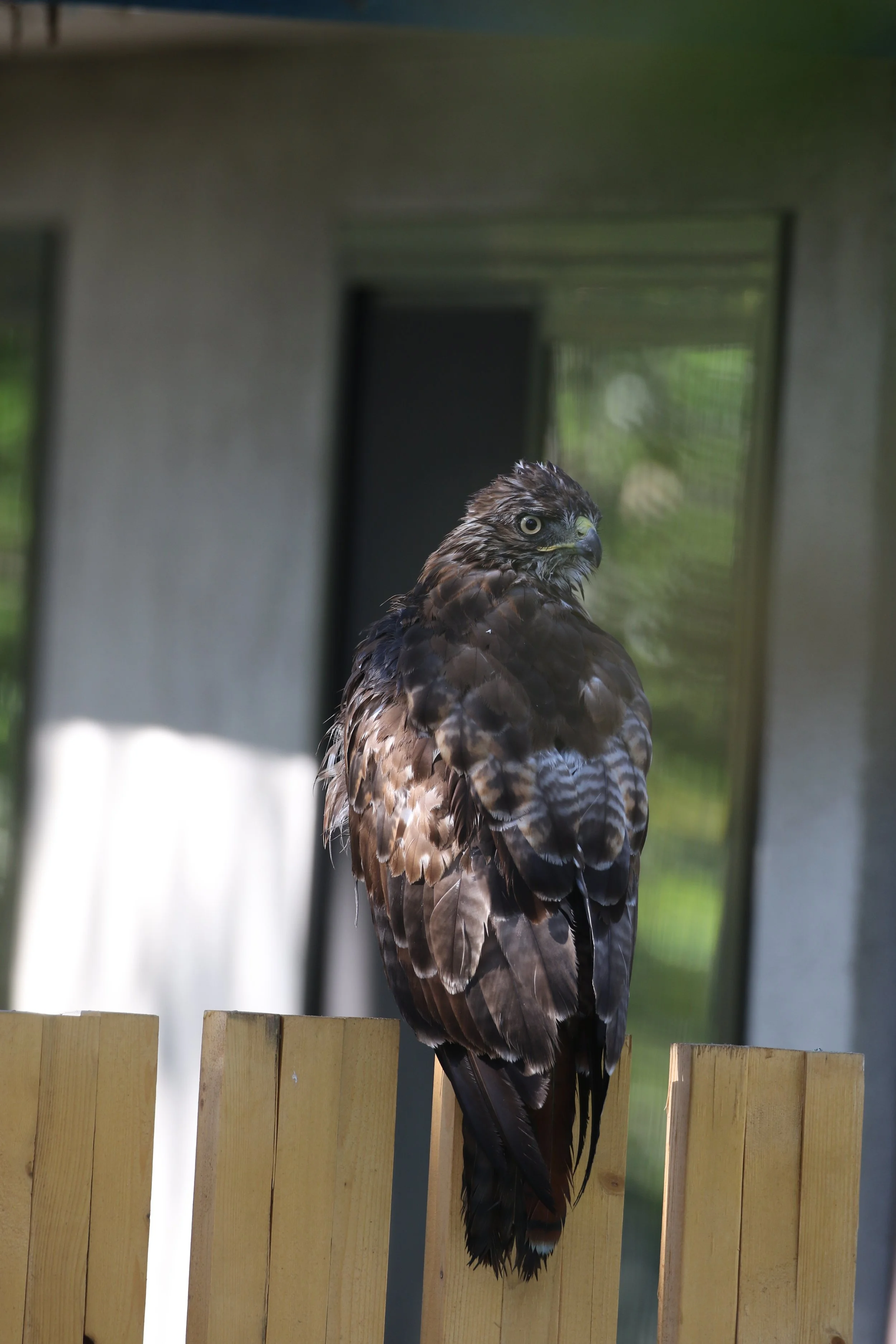 Canyon Calm: Design Strategies for an Unpredictable Climate