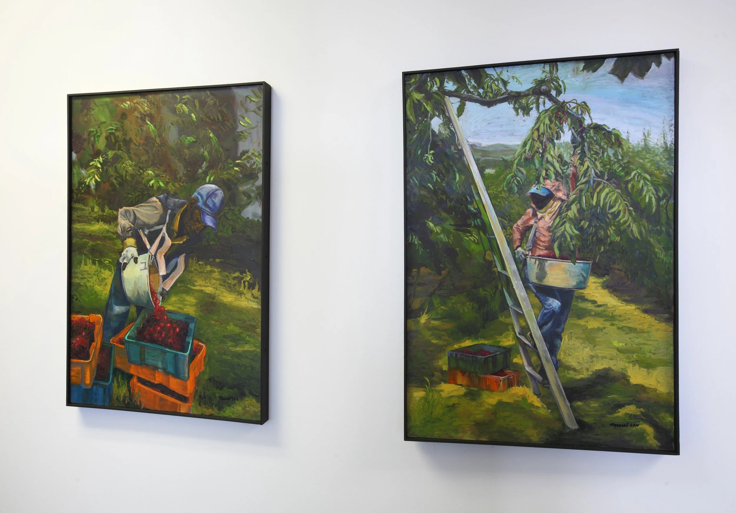 Photo by: Chas Metivier
Two oil on canvas pieces by Narsiso C. Martinez are entitled Cherry Picker I and Cherry Picker II