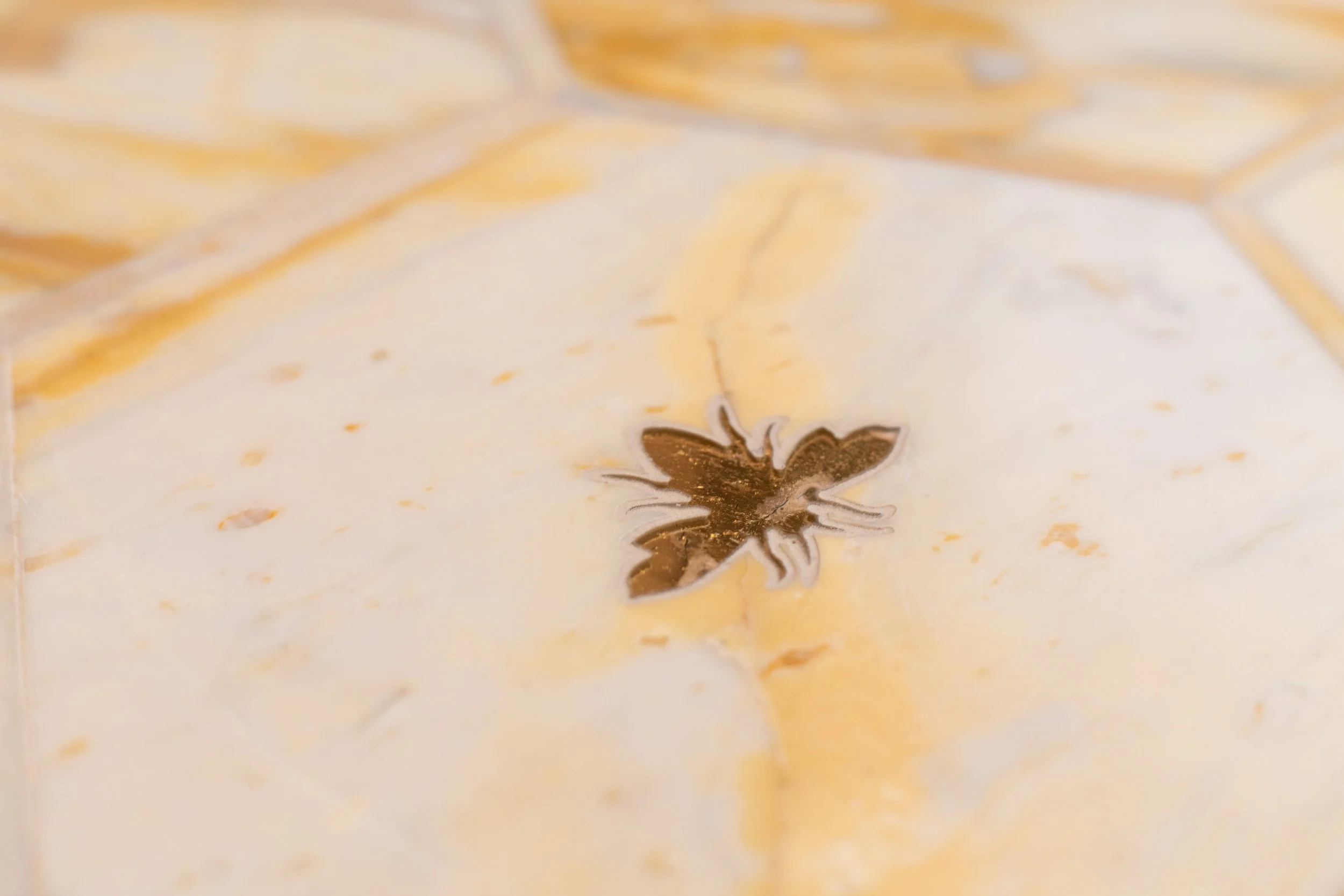 sarah barnard design pollinator bathroom (12).jpg