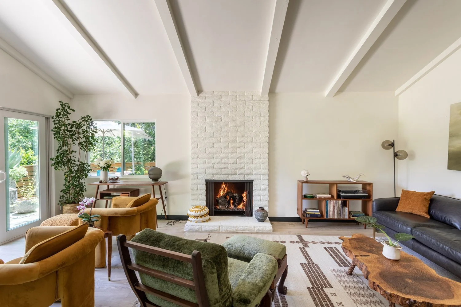 Photo by: Ace Misiunas
A large Kale tree (Polyscias Guilfoylei) in the corner of the room is one of many indoor plants in this home that create a lush connection with the serenity of nature.