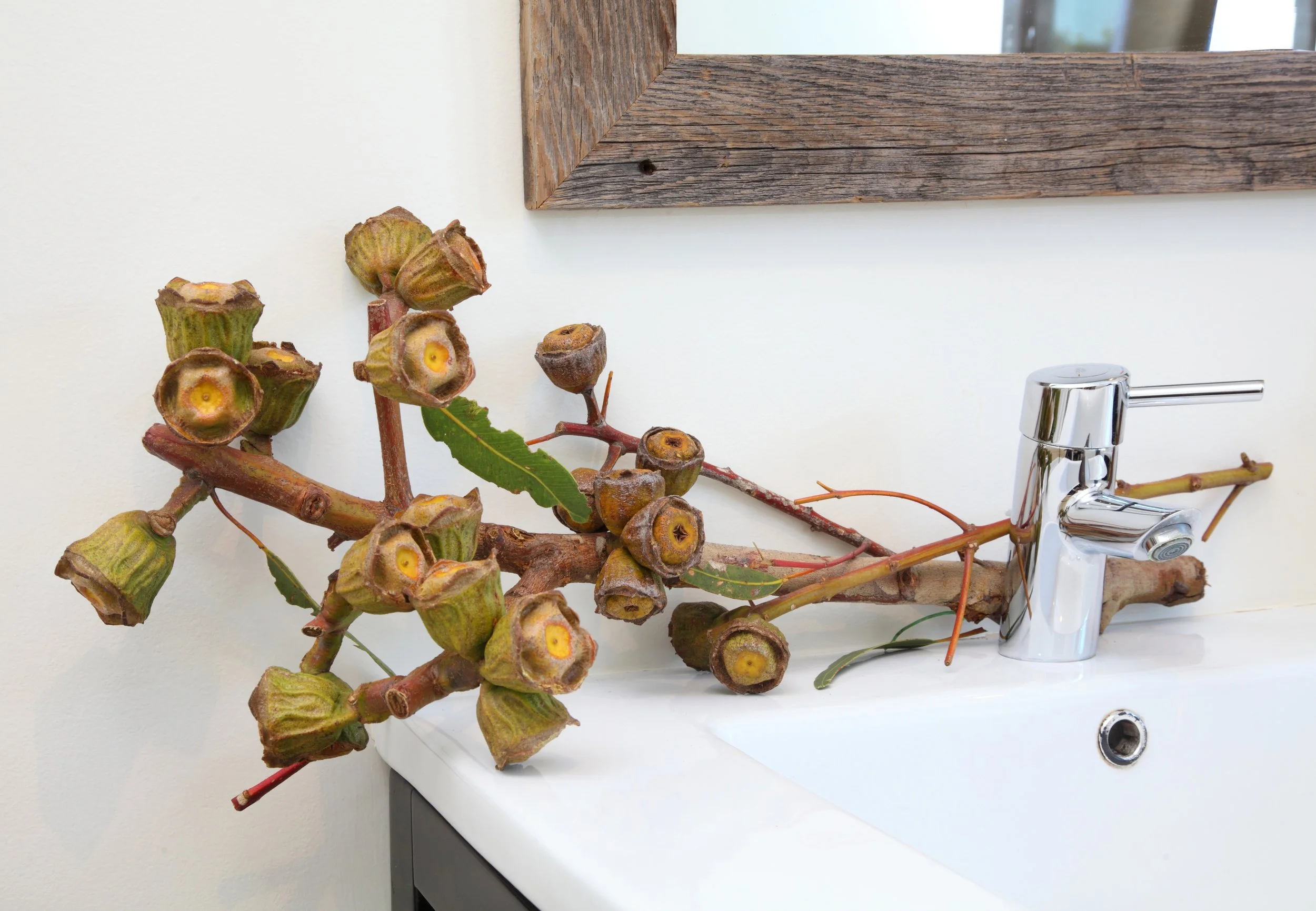 Photo by: Chas Metivier
Salvaged barn wood mirrors were custom made in perfect sizes for the space. Fresh cut branches bring the outdoors in.