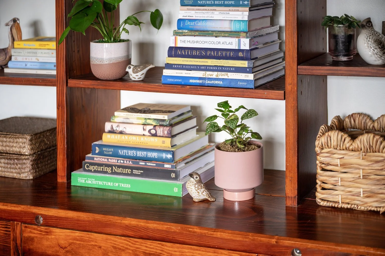 Photo by: Steven Dewall
A collection of bird figurines are placed amongst books and plants throughout the built-in bookshelves of this home office. Evoking the sense of joy and calm that we experience when birdwatching.
