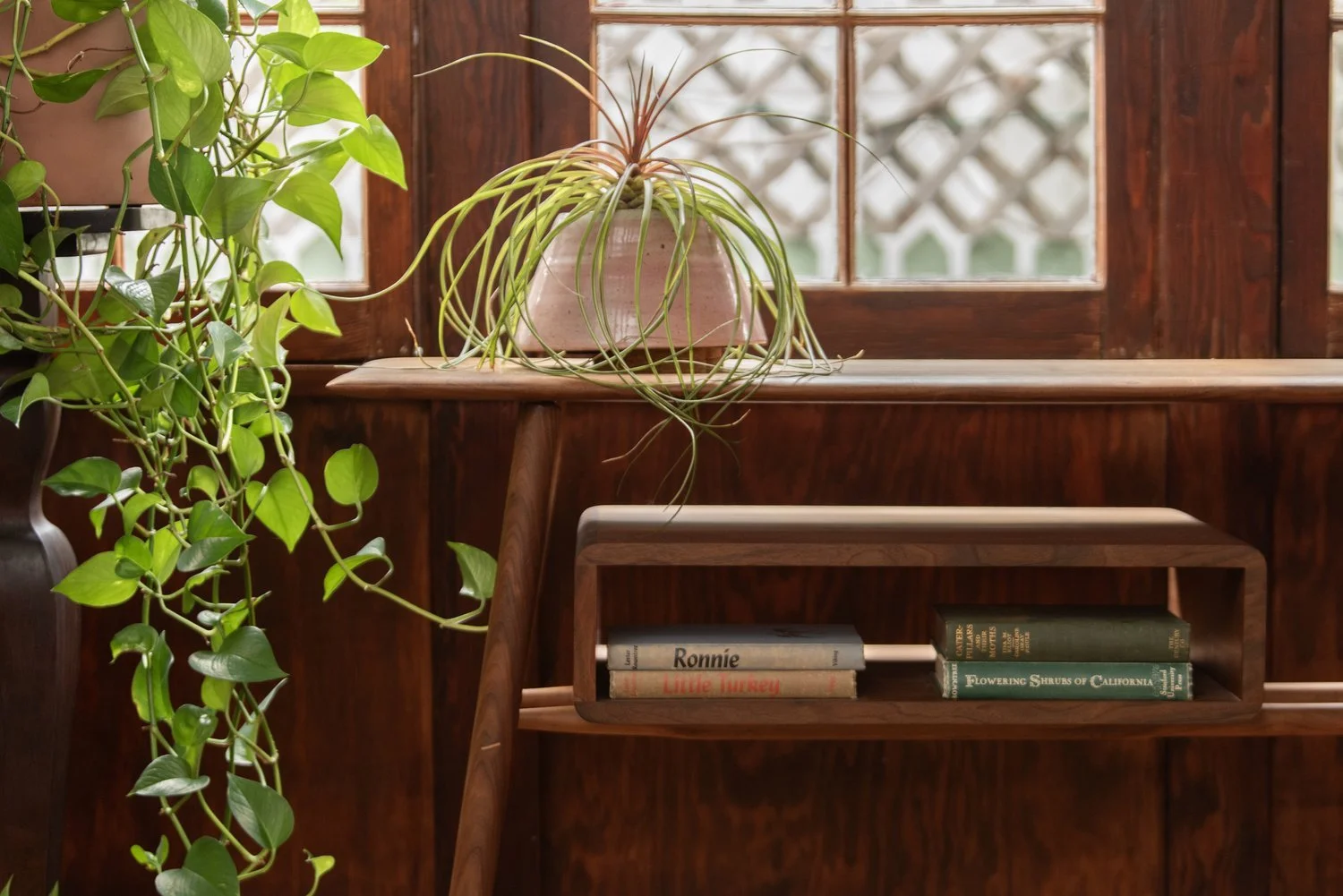 Photo by: Steven Dewall
This mid-century-inspired console table was made in collaboration with a skilled woodworker.