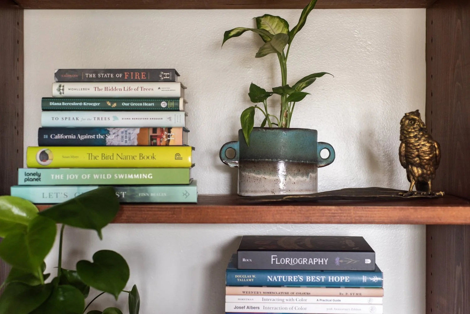Photo by: Steven Dewall
An antique ink well shaped like an owl rests amongst a nature-inspired book collection in this home office.