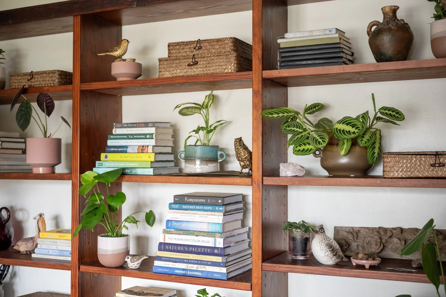 Photo by: Steven Dewall
A collection of artist-made and vintage bird figurines perch amongst a nature-inspired book collection within this home office.