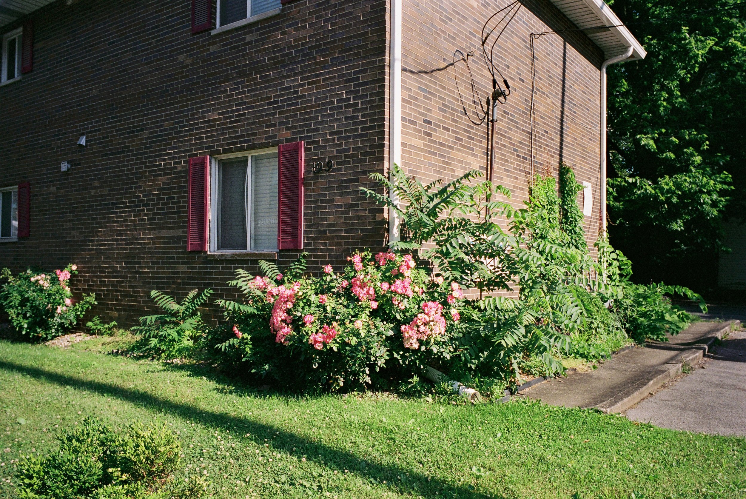 gifford3322406360-R1-31-5A.JPG