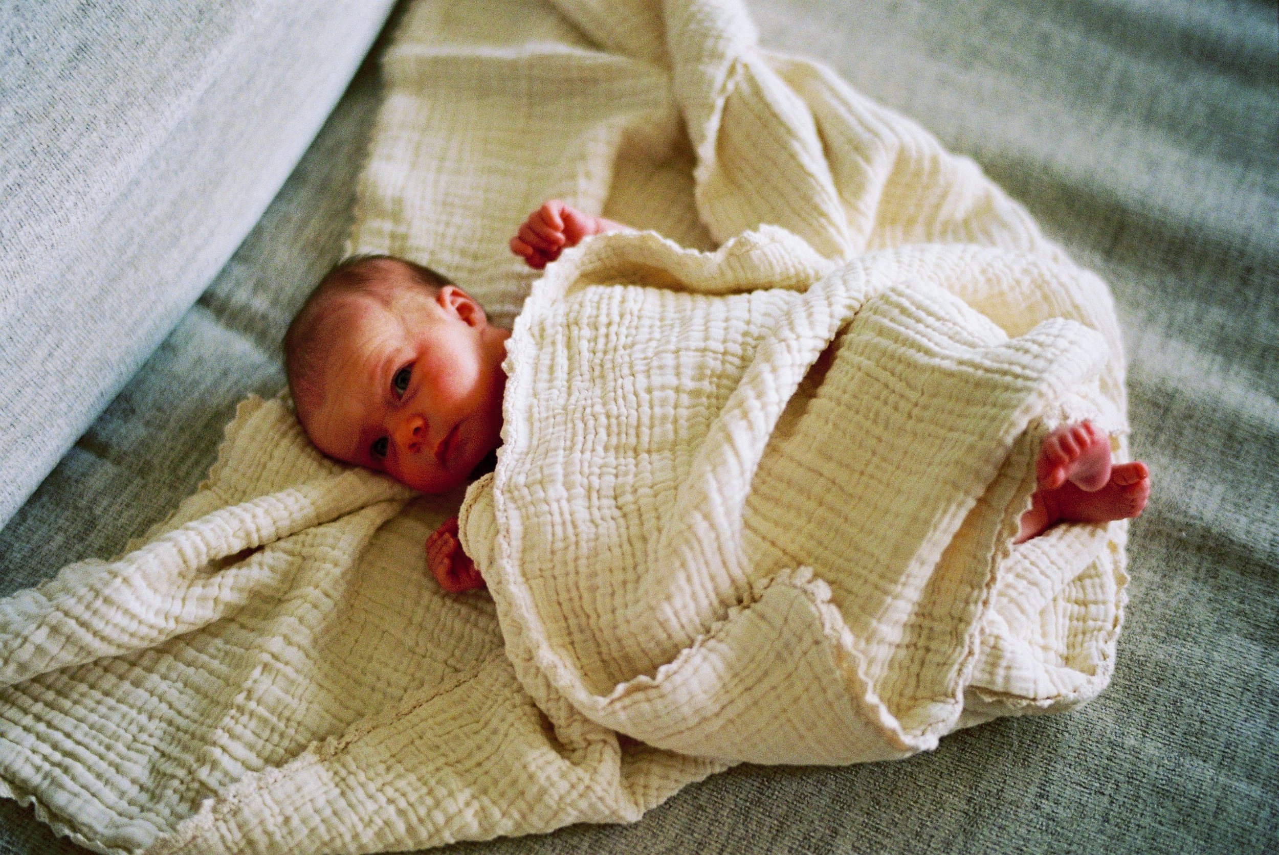 gifford3318026944-R1-09-10.JPG