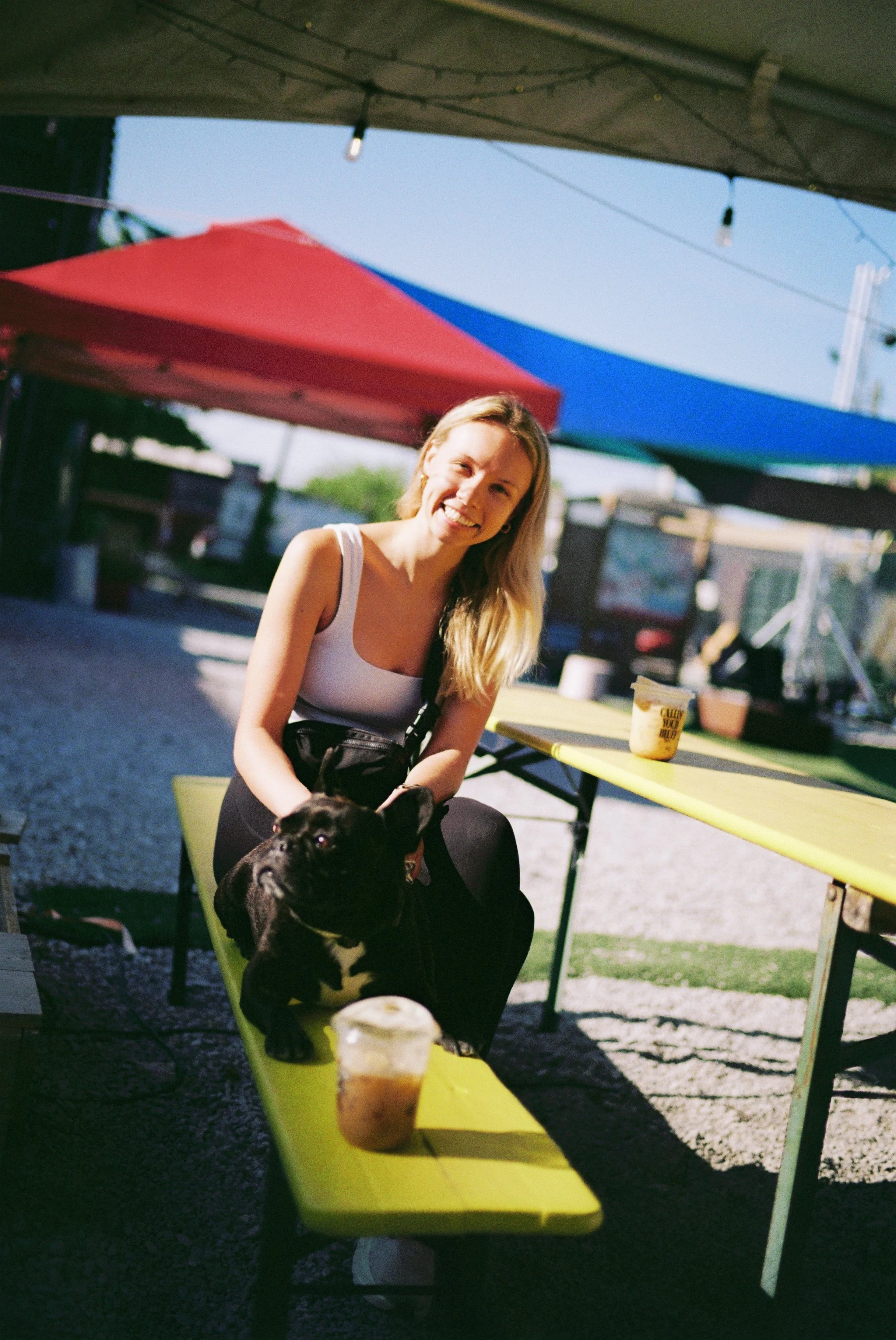 gifford3337408829-R1-03-34.JPG