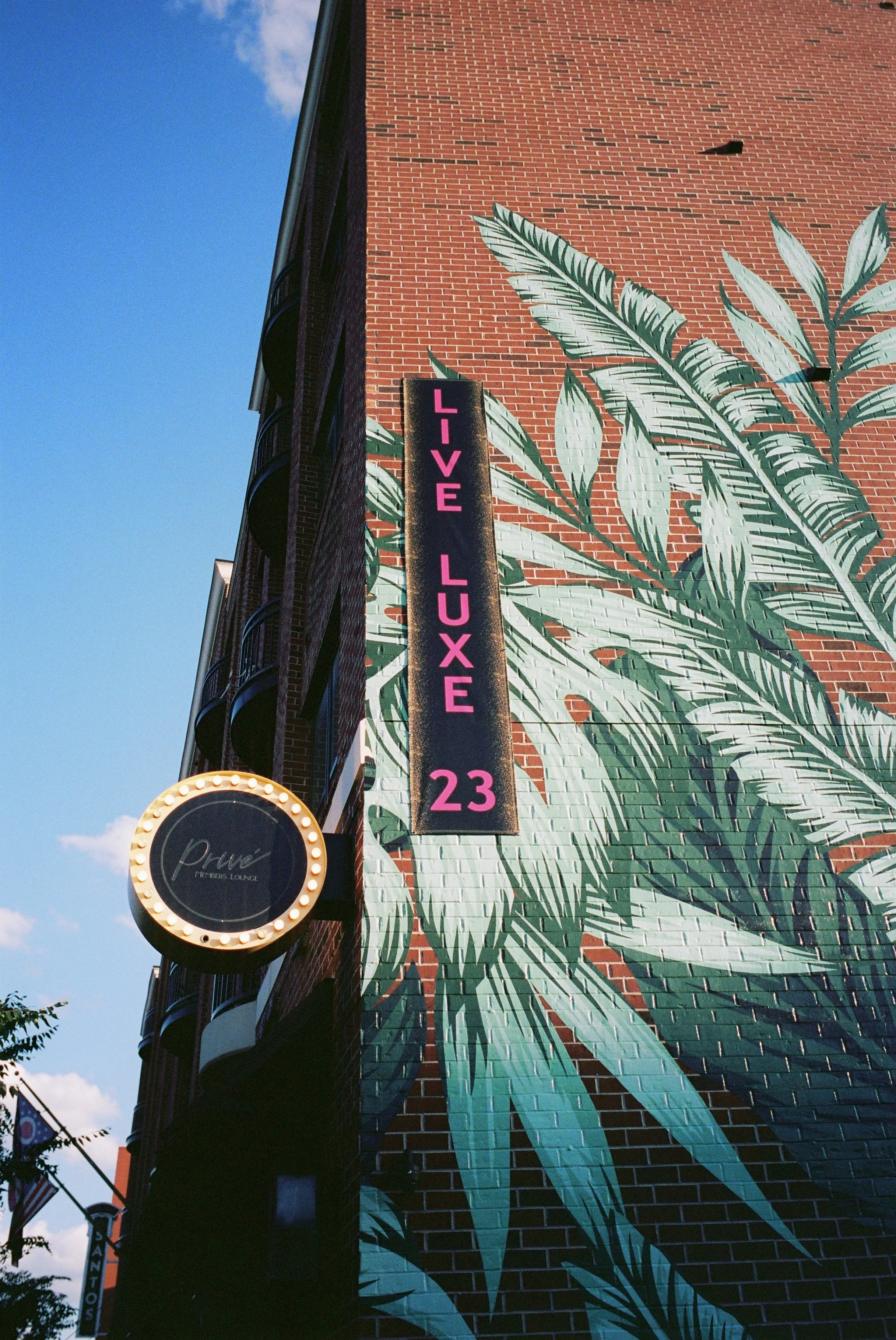 Kodak Portra 400 | June 2026