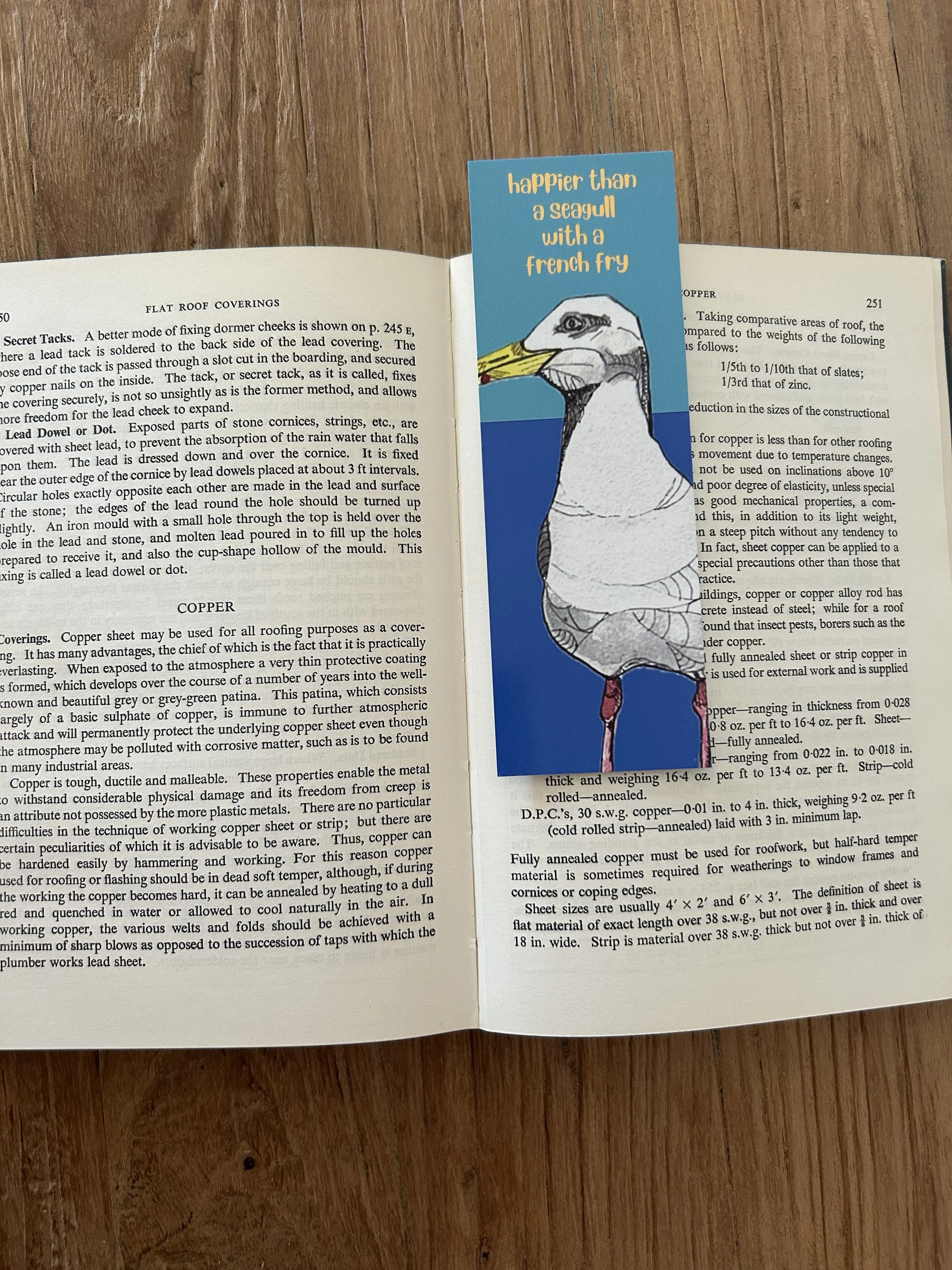 seagull single bkmark.jpeg